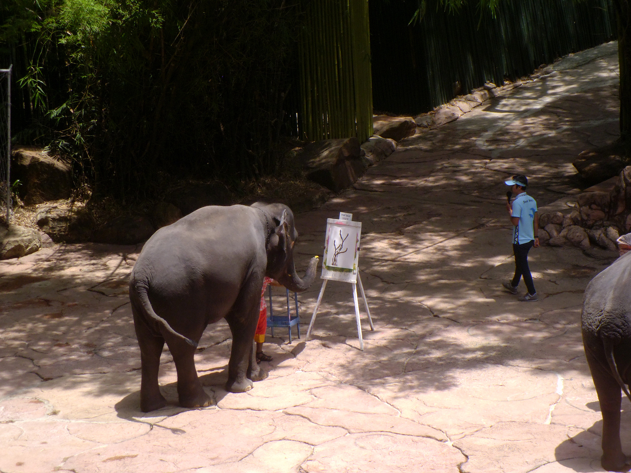 Panasonic DMC-LS5 sample photo. Safari world elephant painting show photography