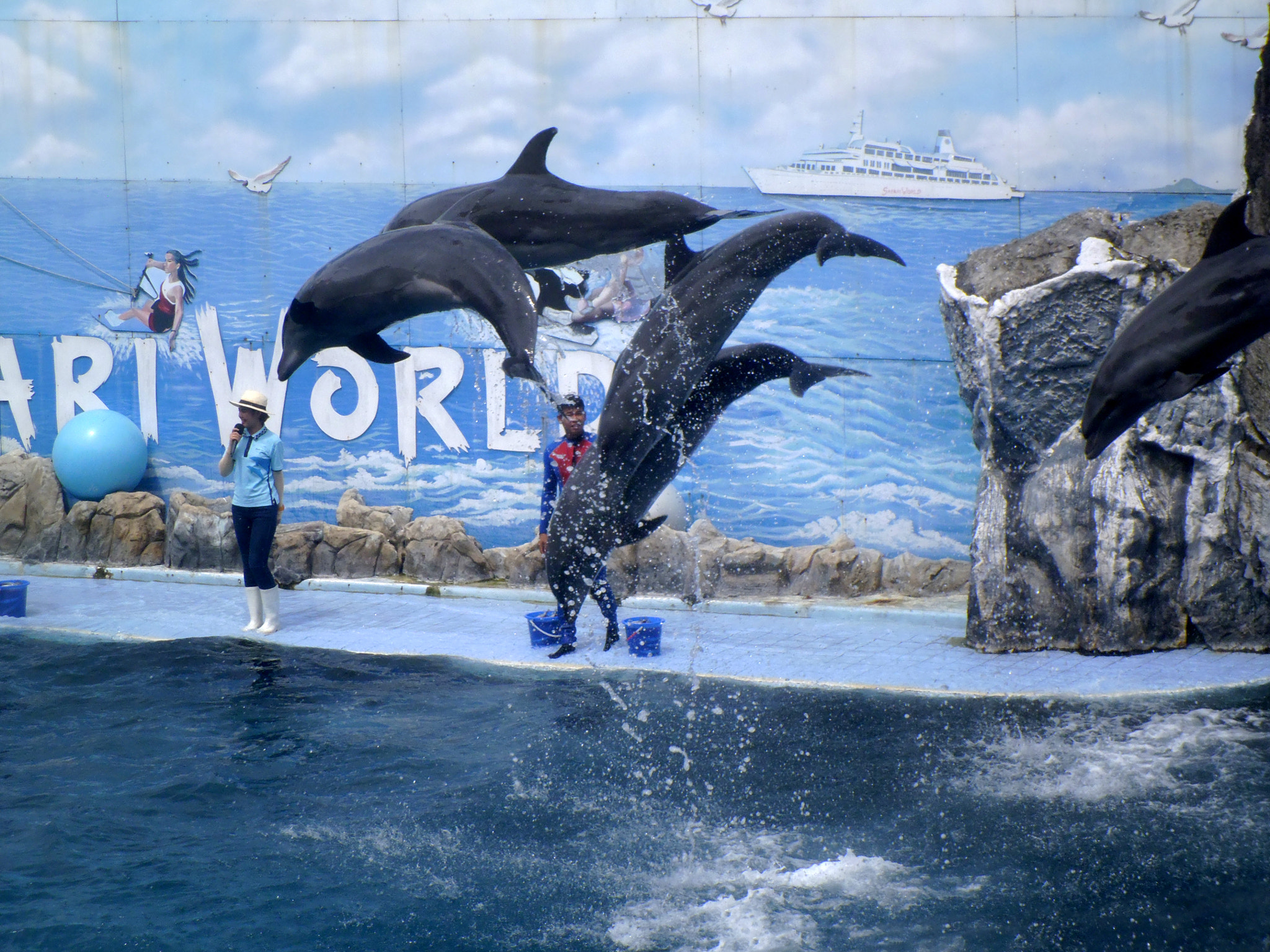 Panasonic DMC-LS5 sample photo. Safari world dolphins show photography