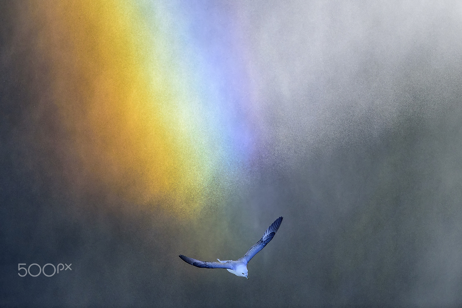 Nikon D750 + Nikon AF-S Nikkor 300mm F4D ED-IF sample photo. Flying over skogafoss and rainbow photography