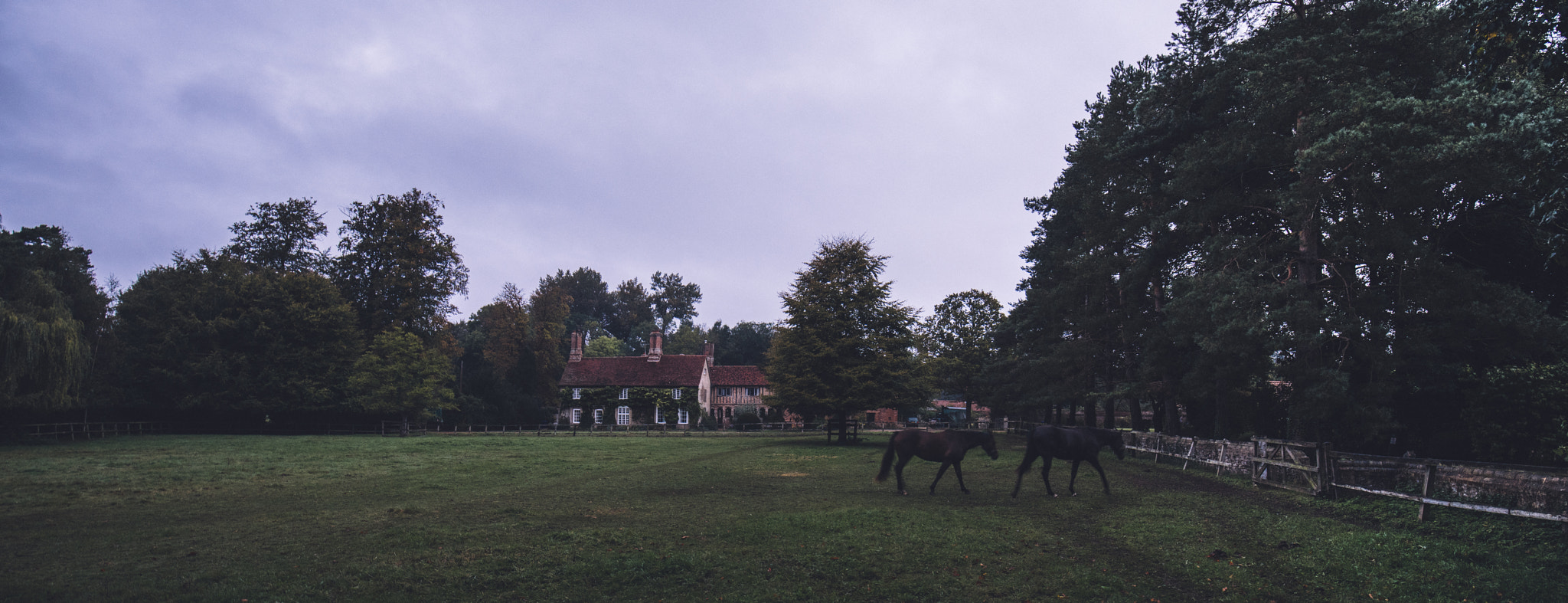 Canon EF 16-35mm F4L IS USM sample photo. Bury st edmunds 20161105 photography