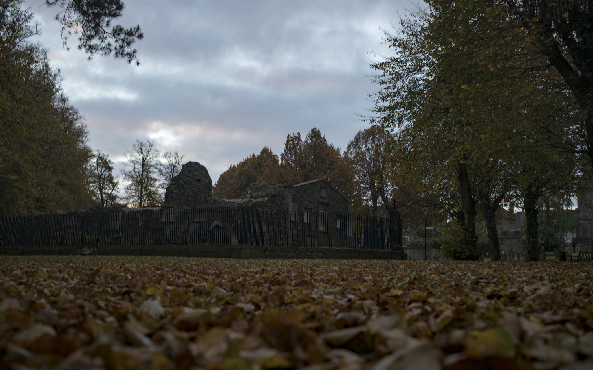 Sony a7R II + Canon EF 40mm F2.8 STM sample photo. Bury st edmunds 20161105 photography