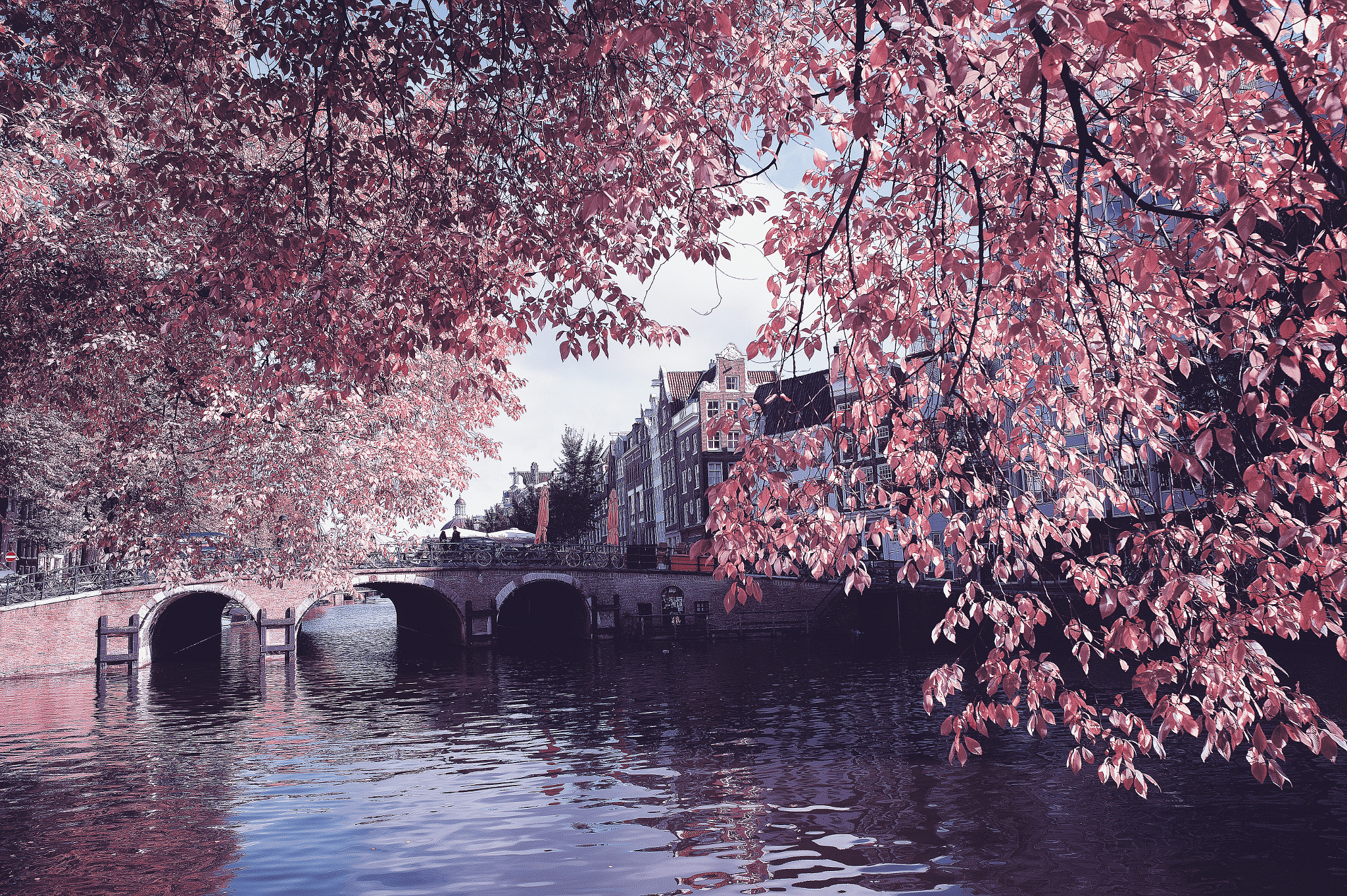 Leica M9 + Noctilux-M 50mm f/1 sample photo. Autumn on the canal photography