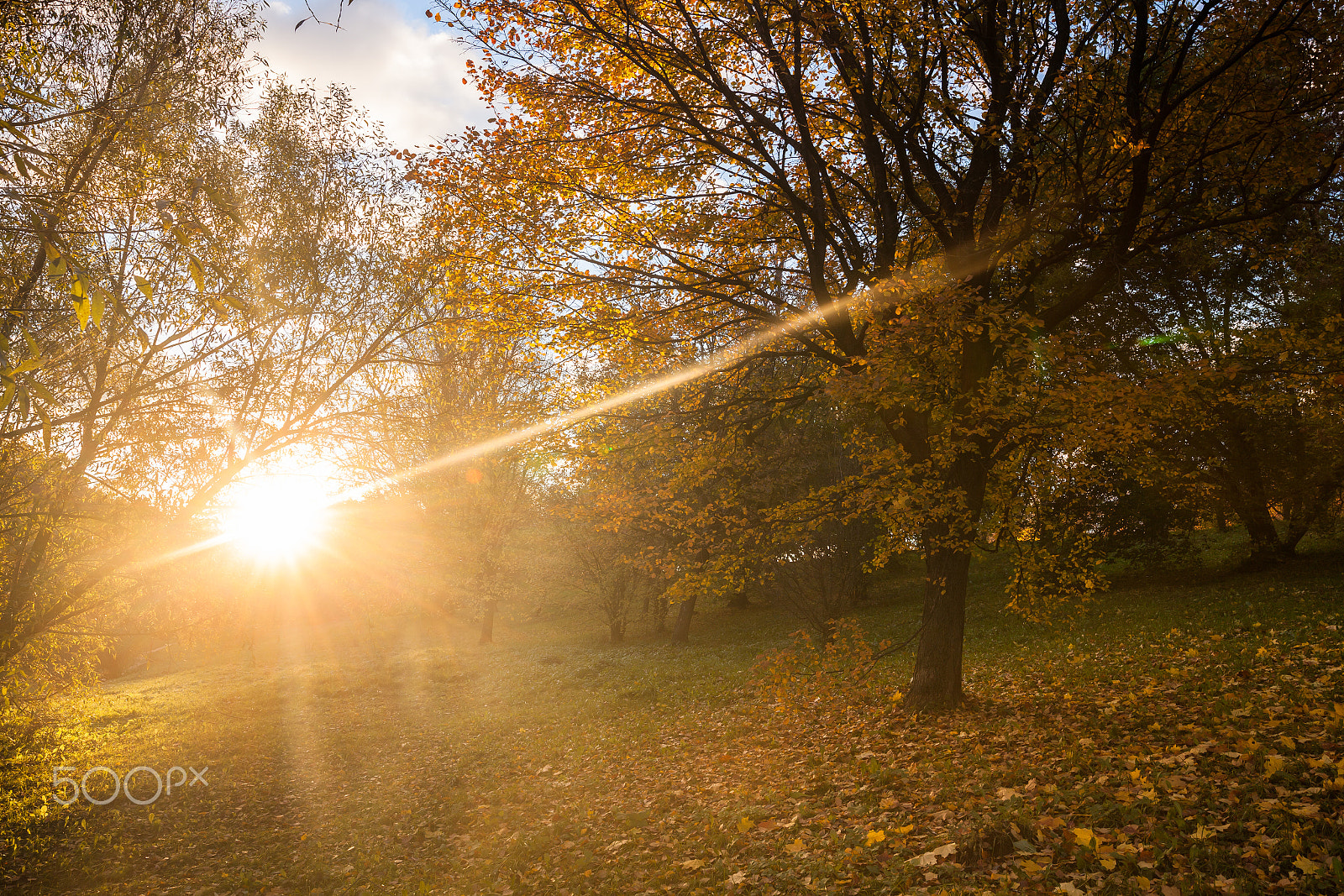 Sigma 24mm F1.4 DG HSM Art sample photo. Moscow fall photography