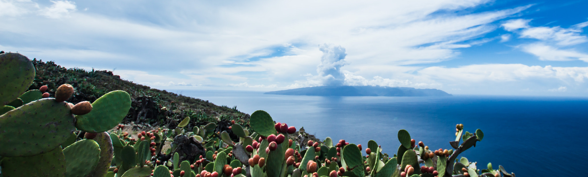 Sigma 10-20mm F3.5 EX DC HSM sample photo. Gomera photography