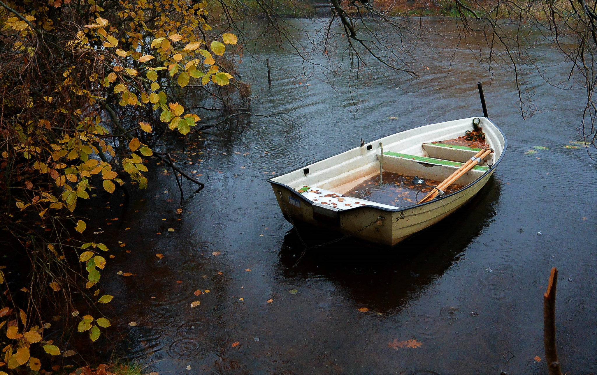 Nikon 1 Nikkor 11-27.5mm F3.5-5.6 sample photo. A rainy day... photography