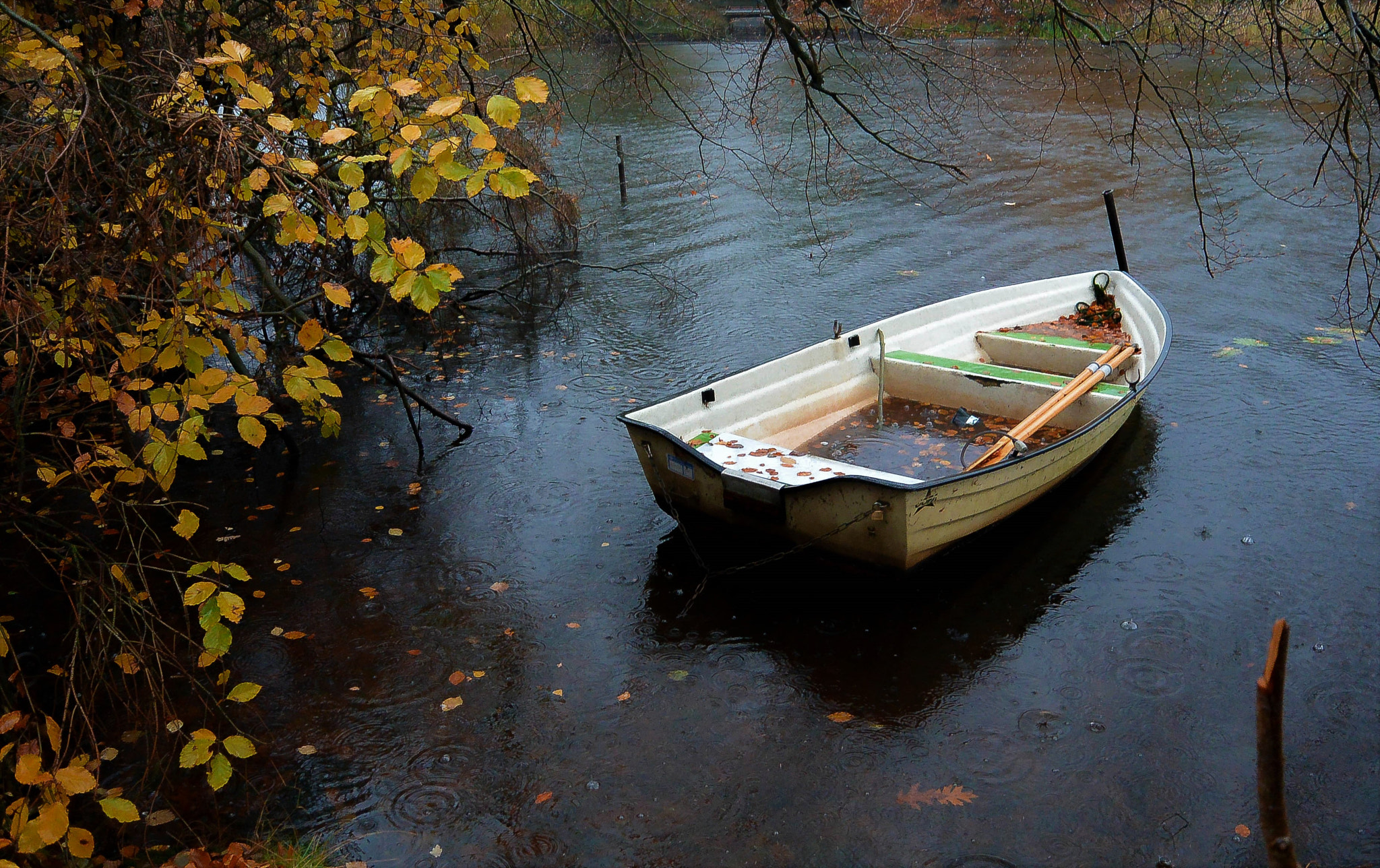 Nikon 1 S1 sample photo. A rainy day... photography