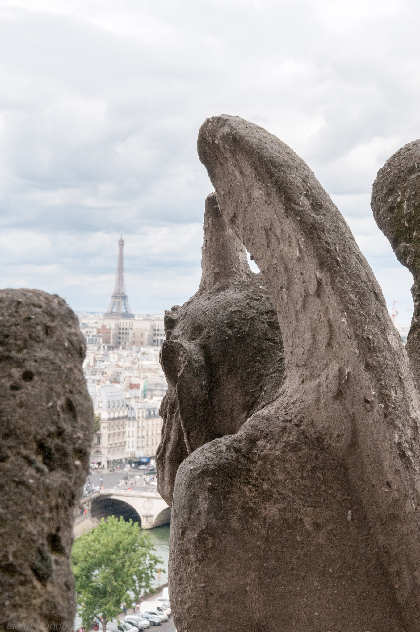 Nikon D300 + Sigma 17-70mm F2.8-4.5 DC Macro Asp. IF sample photo. Gargoyle of notre dame photography