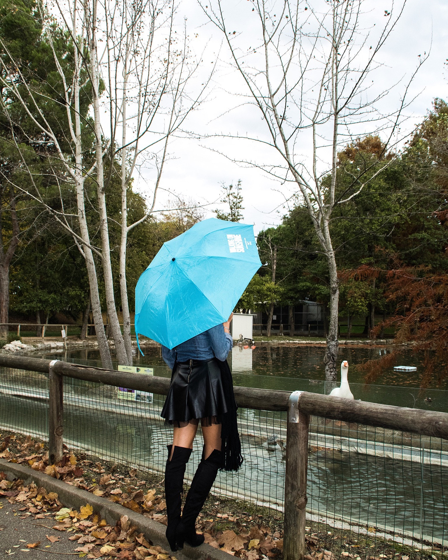 Canon EOS 750D (EOS Rebel T6i / EOS Kiss X8i) sample photo. Solitude photography