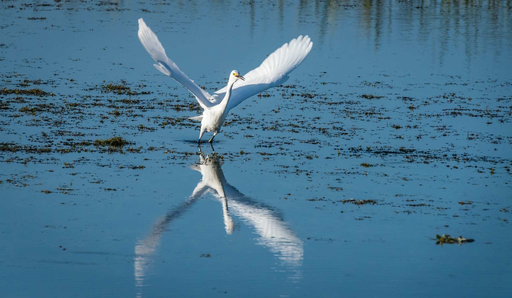 Sigma 50-500mm F4-6.3 EX APO RF HSM sample photo. Time to leave photography