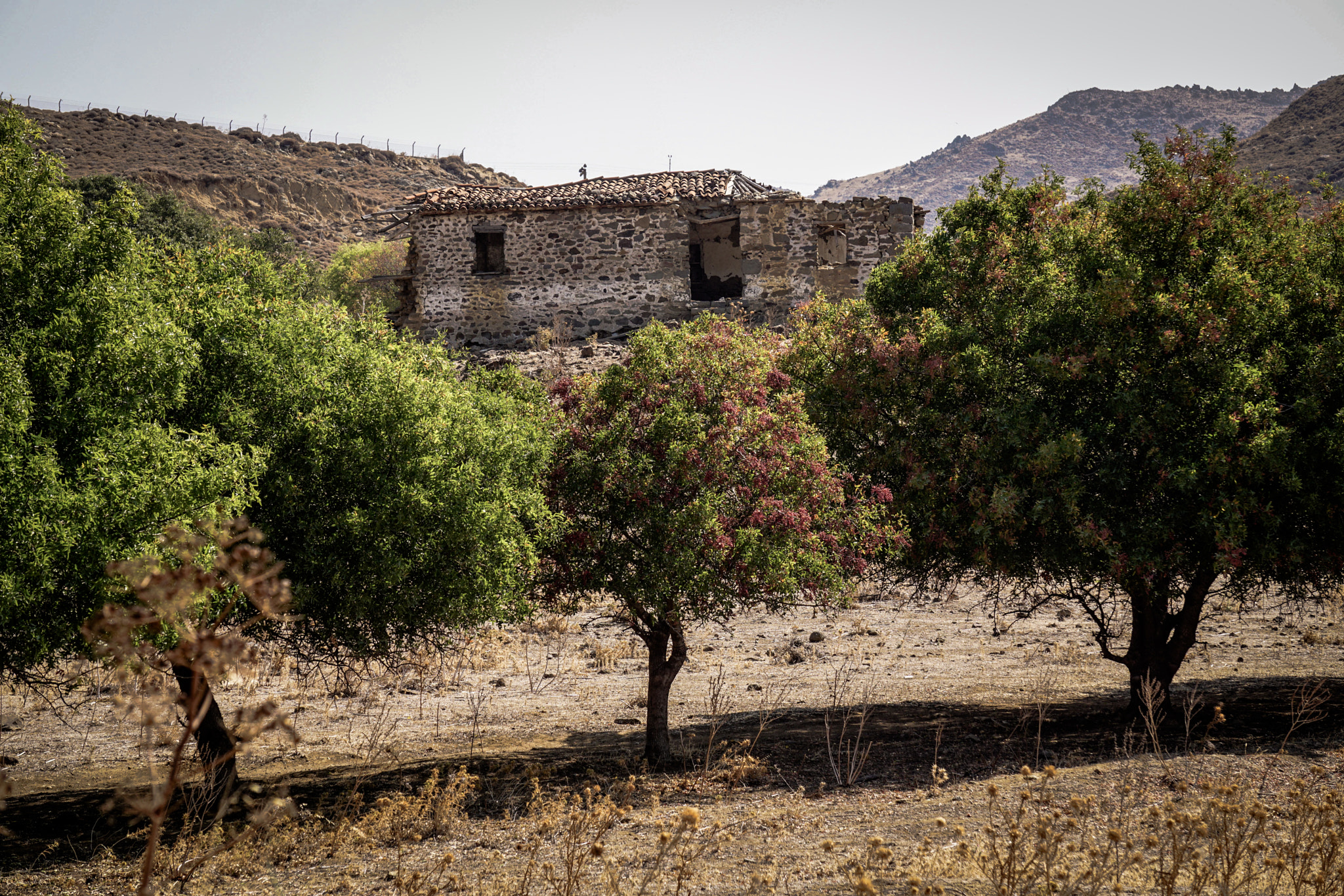 Sony E 55-210mm F4.5-6.3 OSS sample photo. Ancient rhythms photography