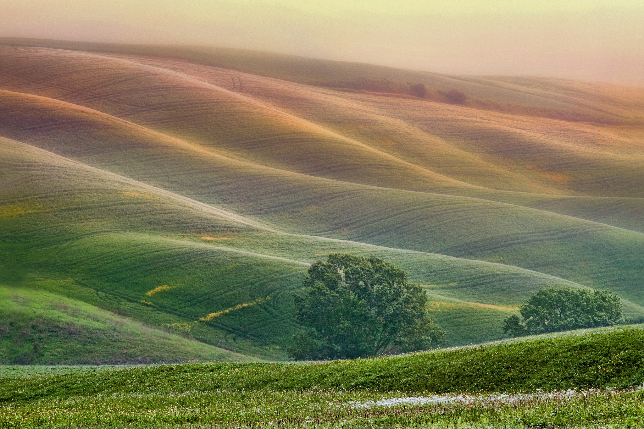 Canon EOS 50D + Canon EF 70-200mm F4L IS USM sample photo. Hilly landscape of tuscany photography