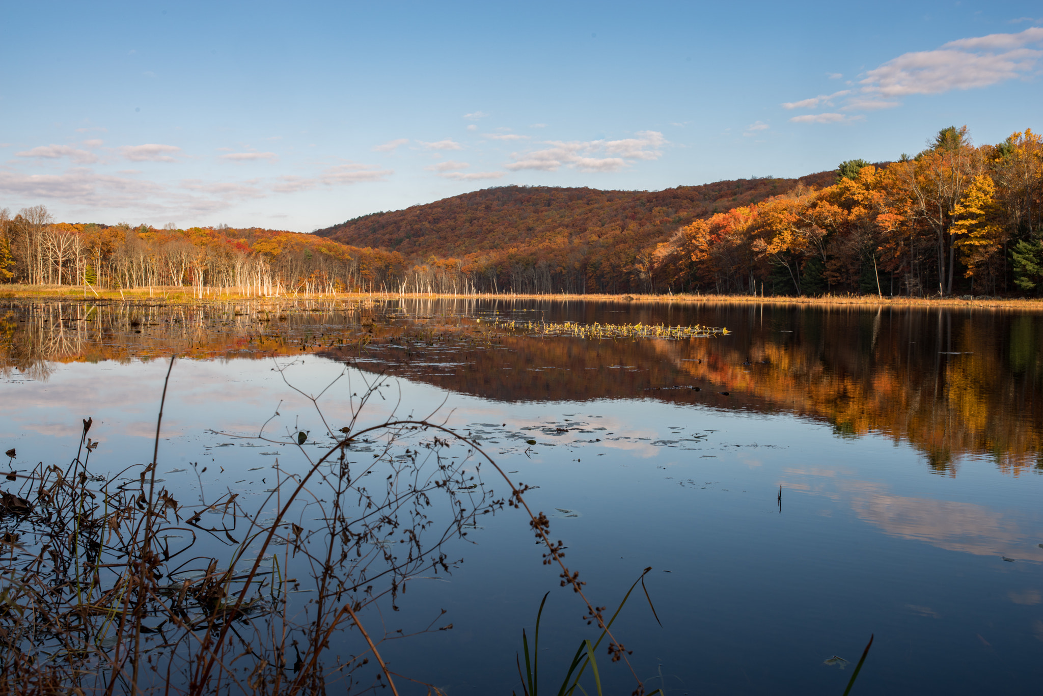 Pentax K-1 + Sigma 35mm F1.4 DG HSM Art sample photo. Shortly after sunrise, bennets pond photography