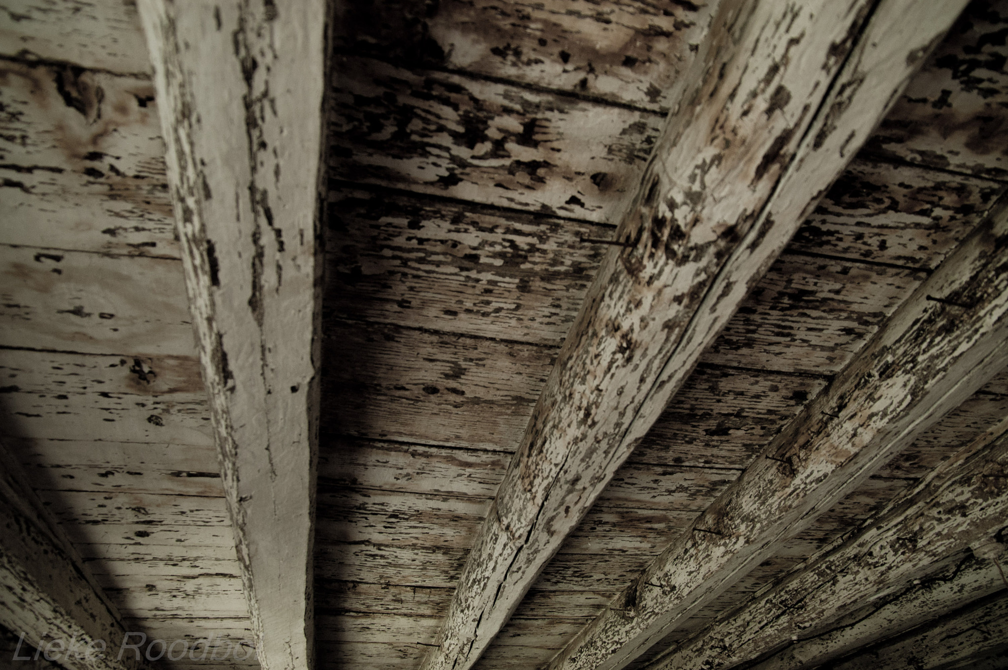 Sigma 17-70mm F2.8-4.5 DC Macro Asp. IF sample photo. I have this thing with ceilings photography
