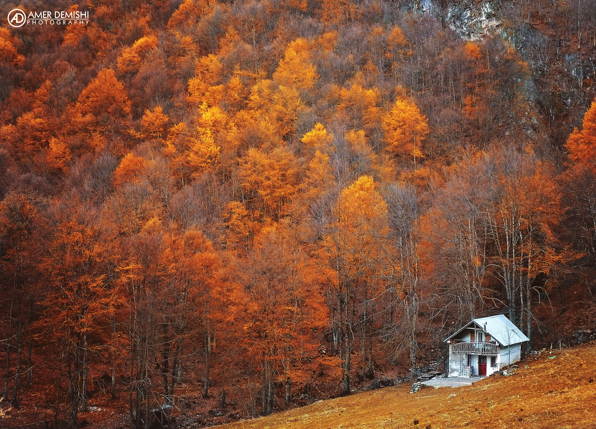 Panasonic Lumix DMC-ZS7 (Lumix DMC-TZ10) sample photo. Autumn landscape | labunishki bacila photography