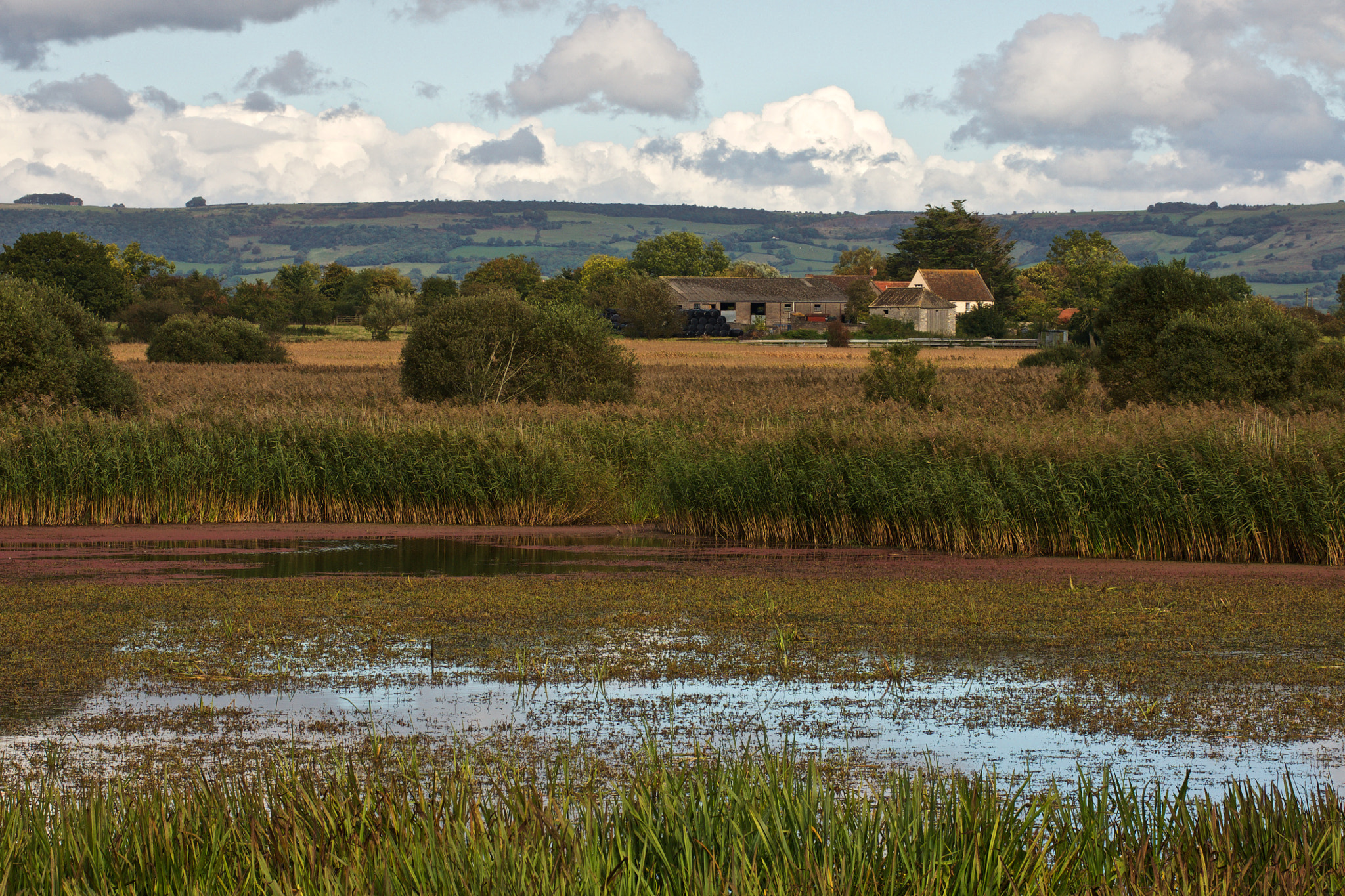 Sony Alpha DSLR-A700 sample photo. The english countryside photography