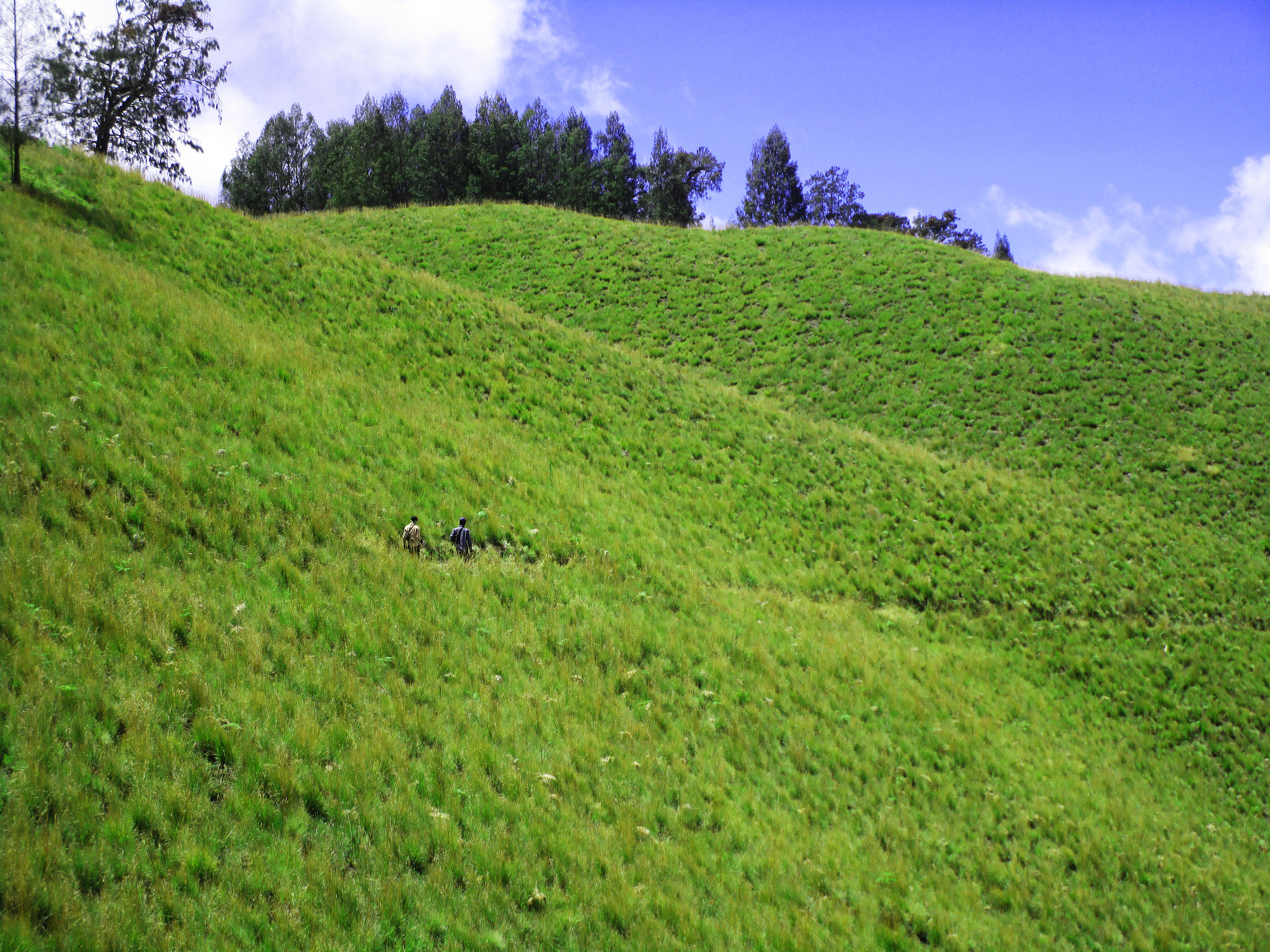 Canon PowerShot ELPH 150 IS (IXUS 155 / IXY 140) sample photo. Mount semeru photography