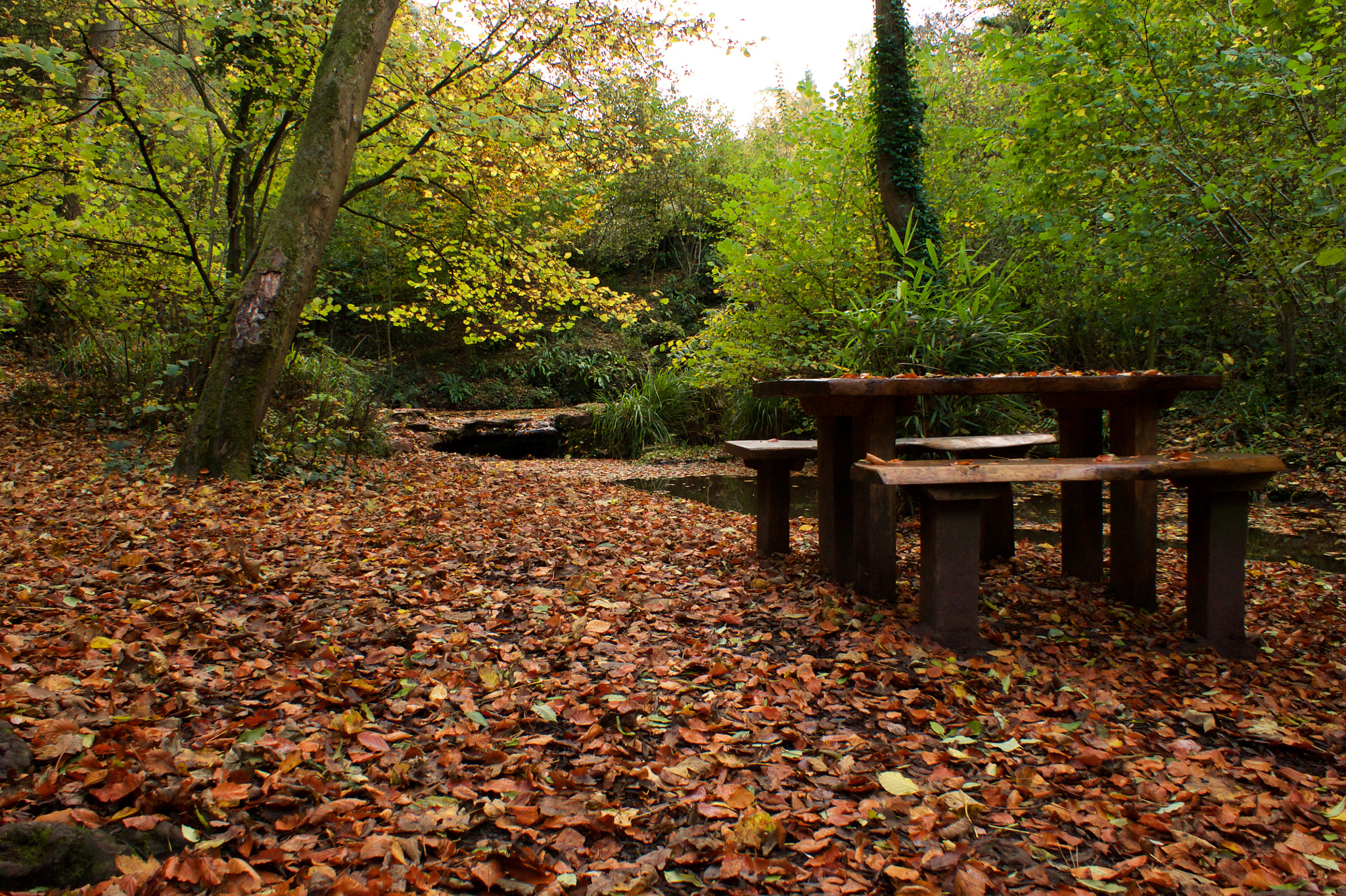 Sony Alpha DSLR-A700 sample photo. Abbots pool overflow photography