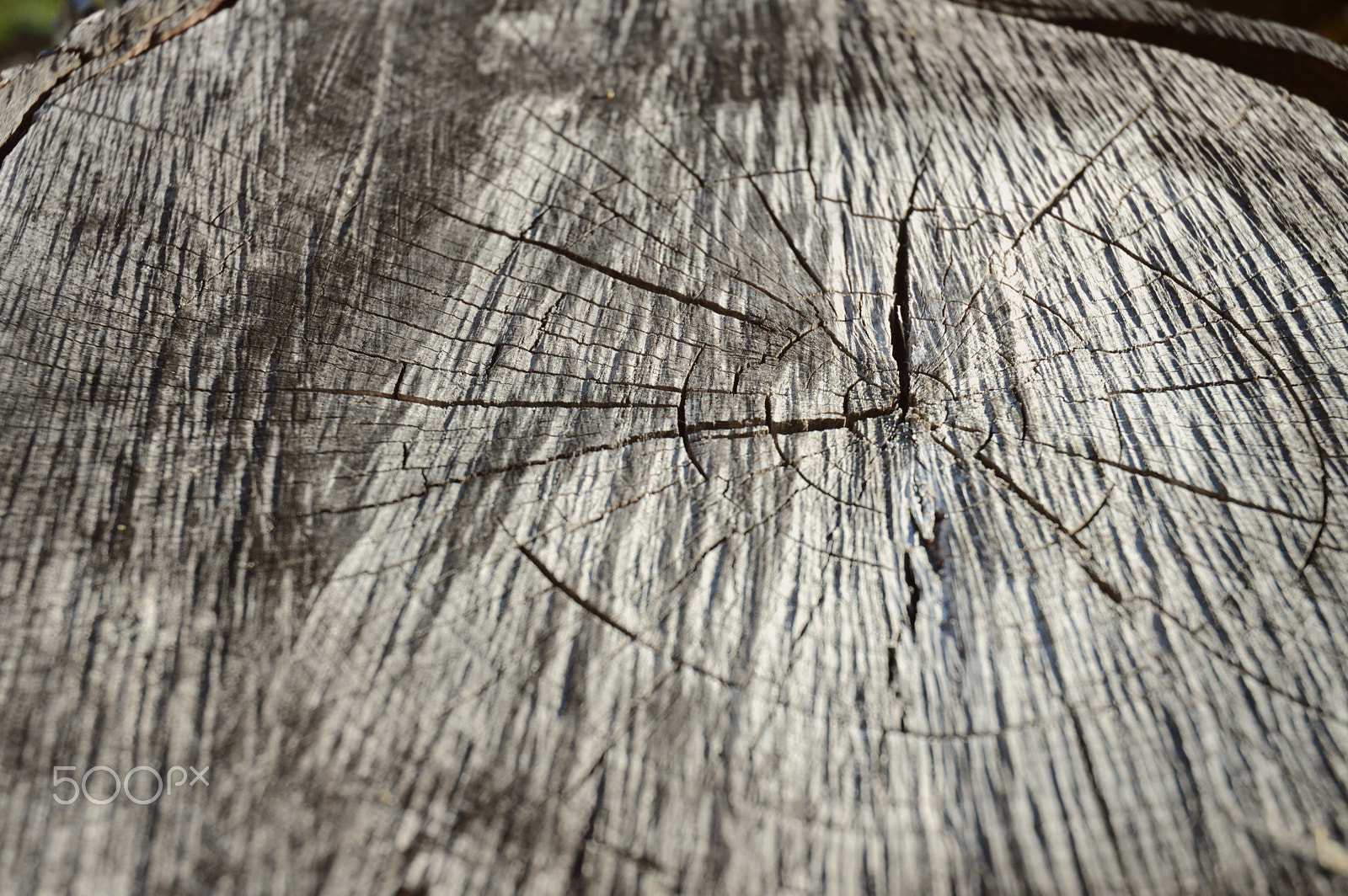 Nikon D3200 sample photo. Weathered photography