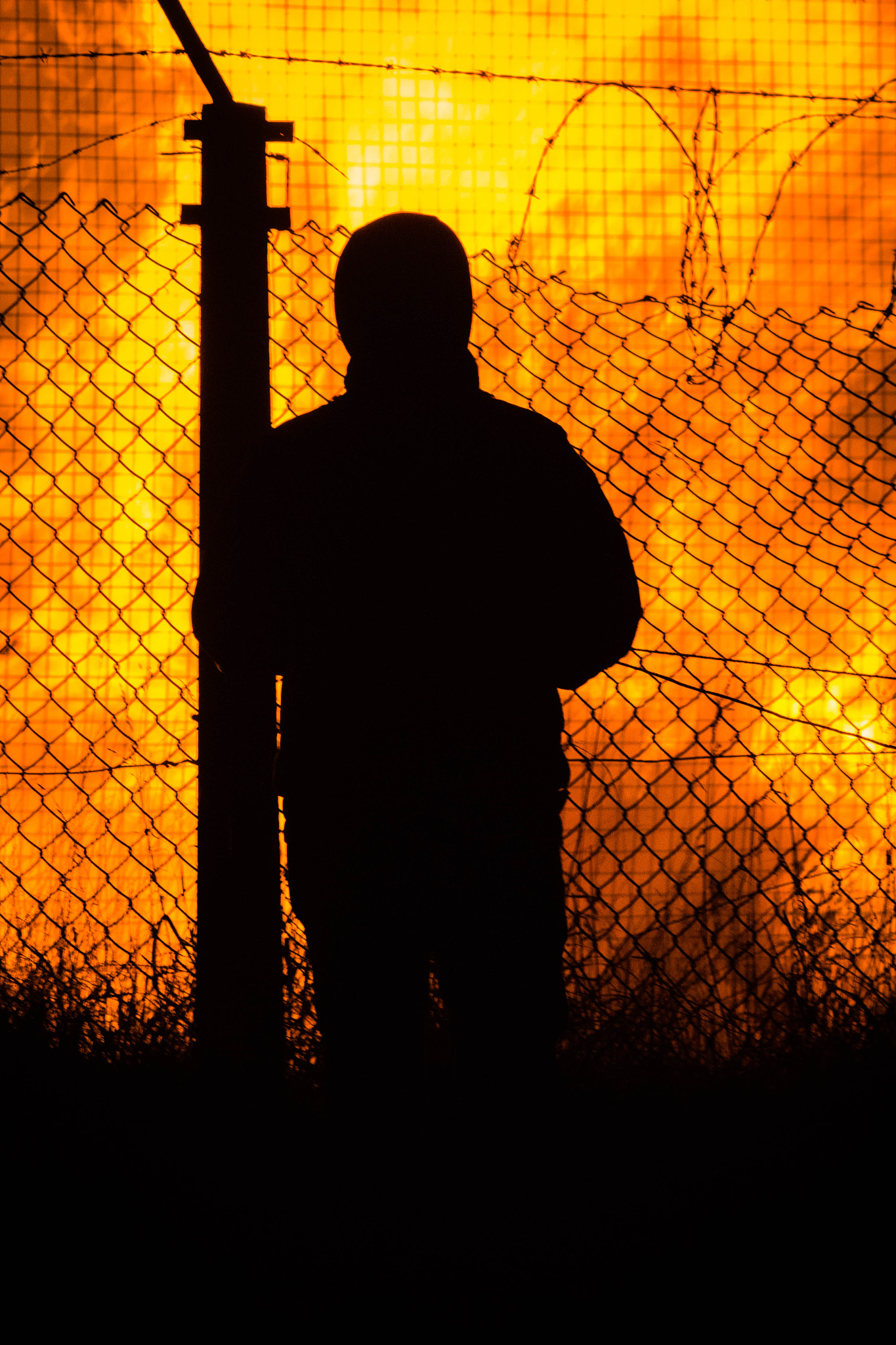 Canon EF 75-300mm f/4-5.6 USM sample photo. Observing the flames photography