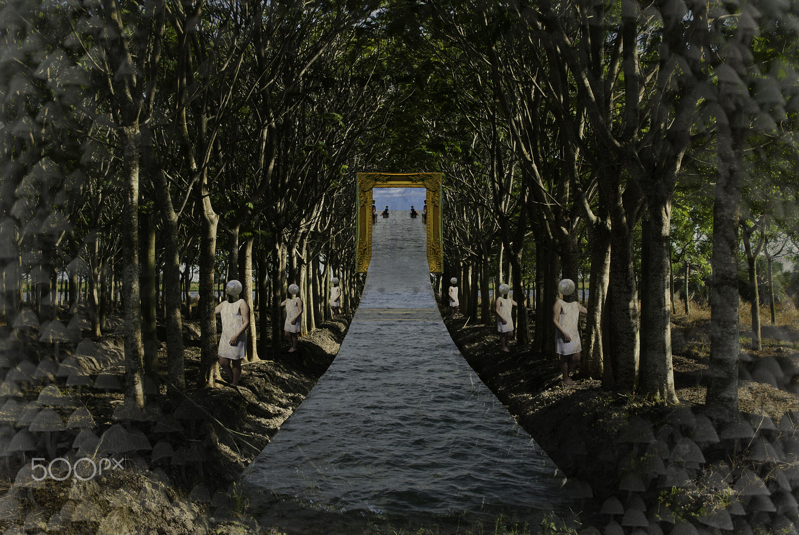 Sigma 17-50mm F2.8 EX DC OS HSM sample photo. Surrealism photography