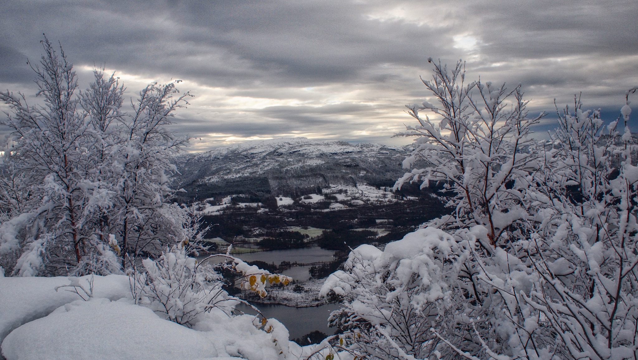 Olympus PEN E-P1 + Olympus M.Zuiko Digital 17mm F2.8 Pancake sample photo. Den første snøen. photography