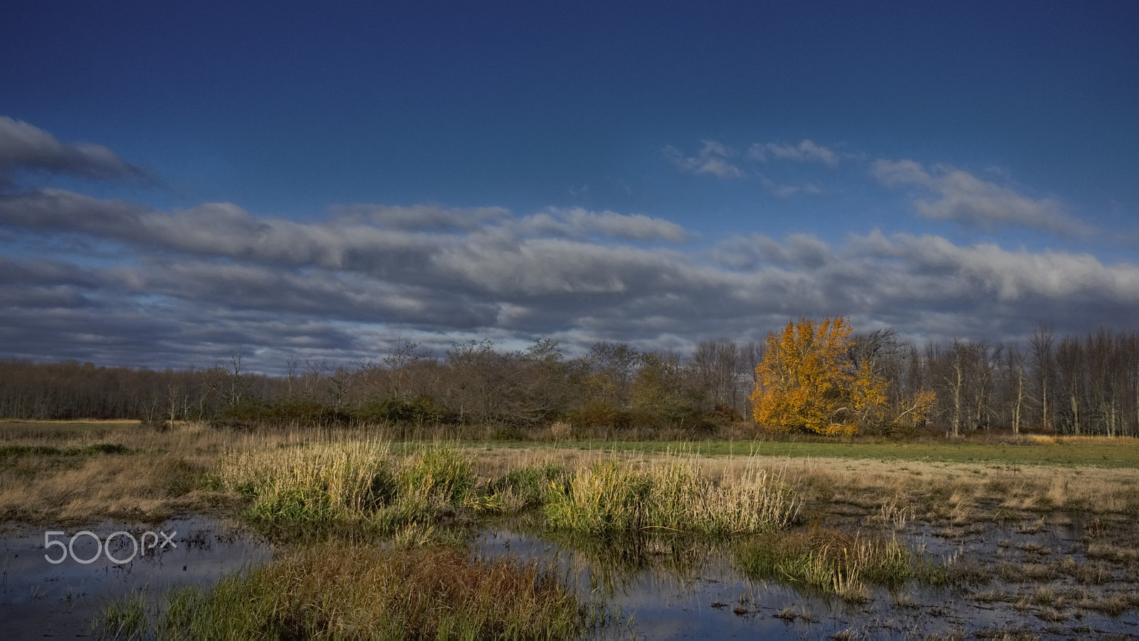 E 21mm F2.8 sample photo. November morning photography