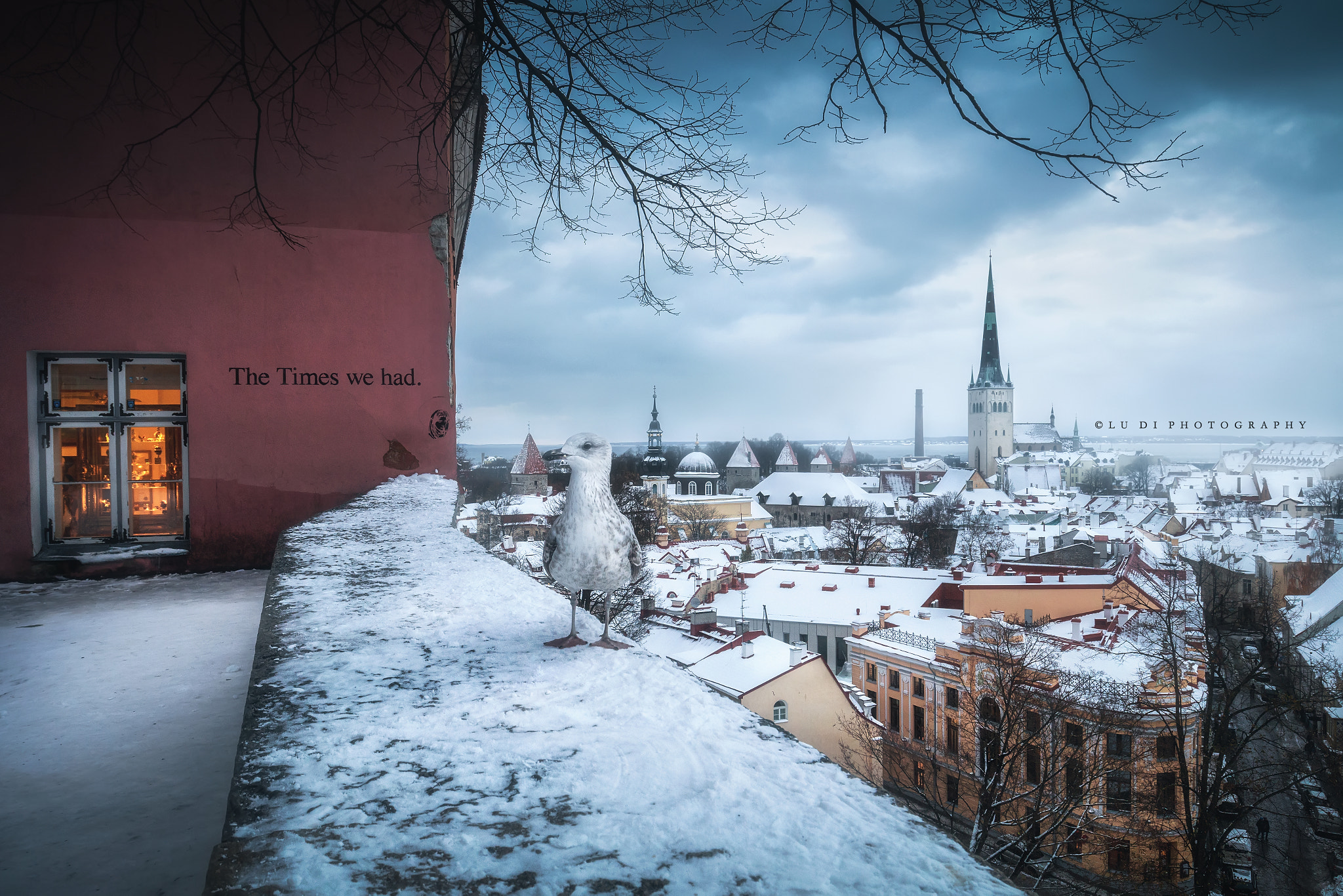 Canon EF 16-35mm F4L IS USM sample photo. Ice world photography