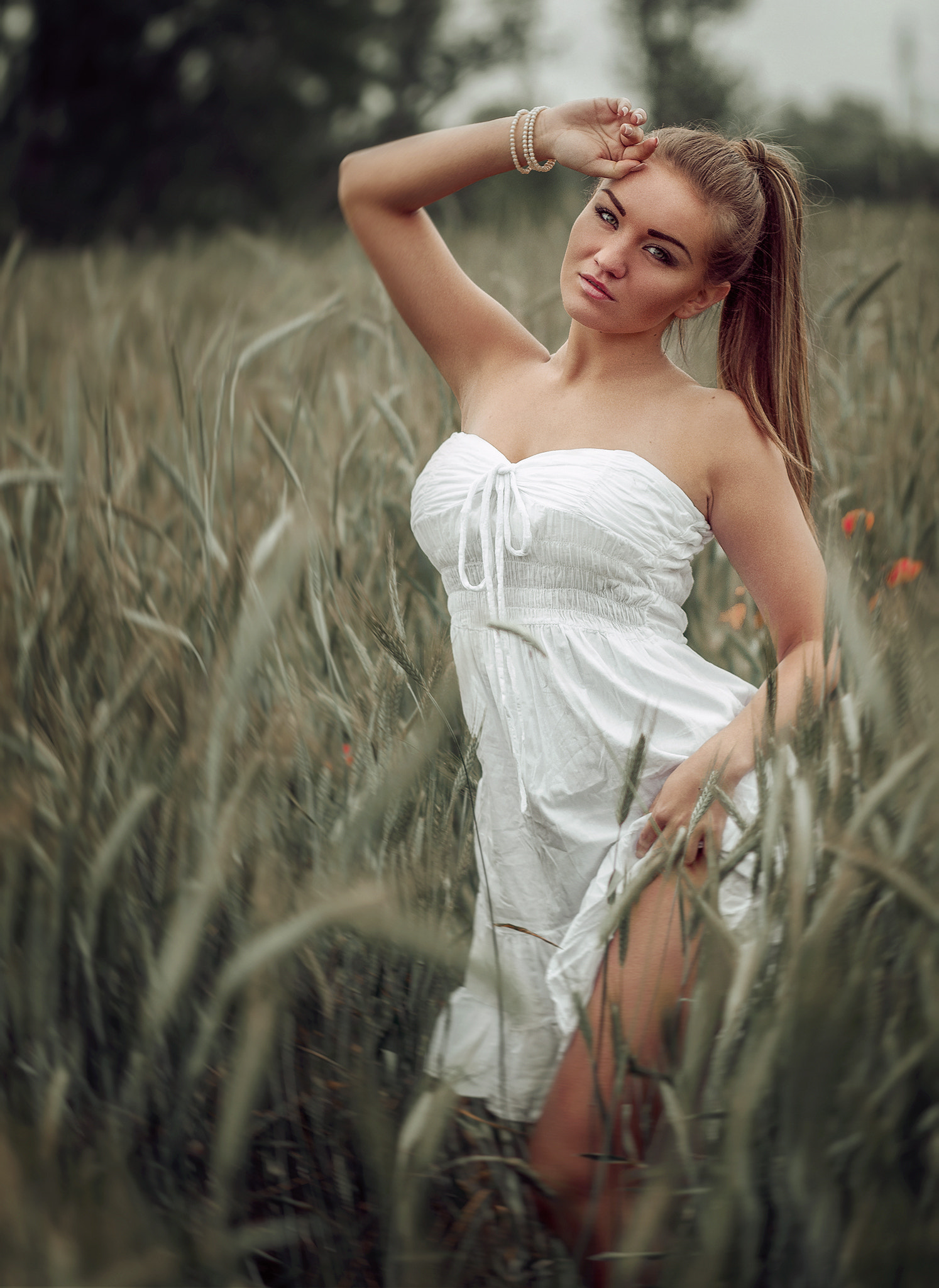 Canon EOS 650D (EOS Rebel T4i / EOS Kiss X6i) + Canon EF 85mm F1.8 USM sample photo. Wheatfield photography