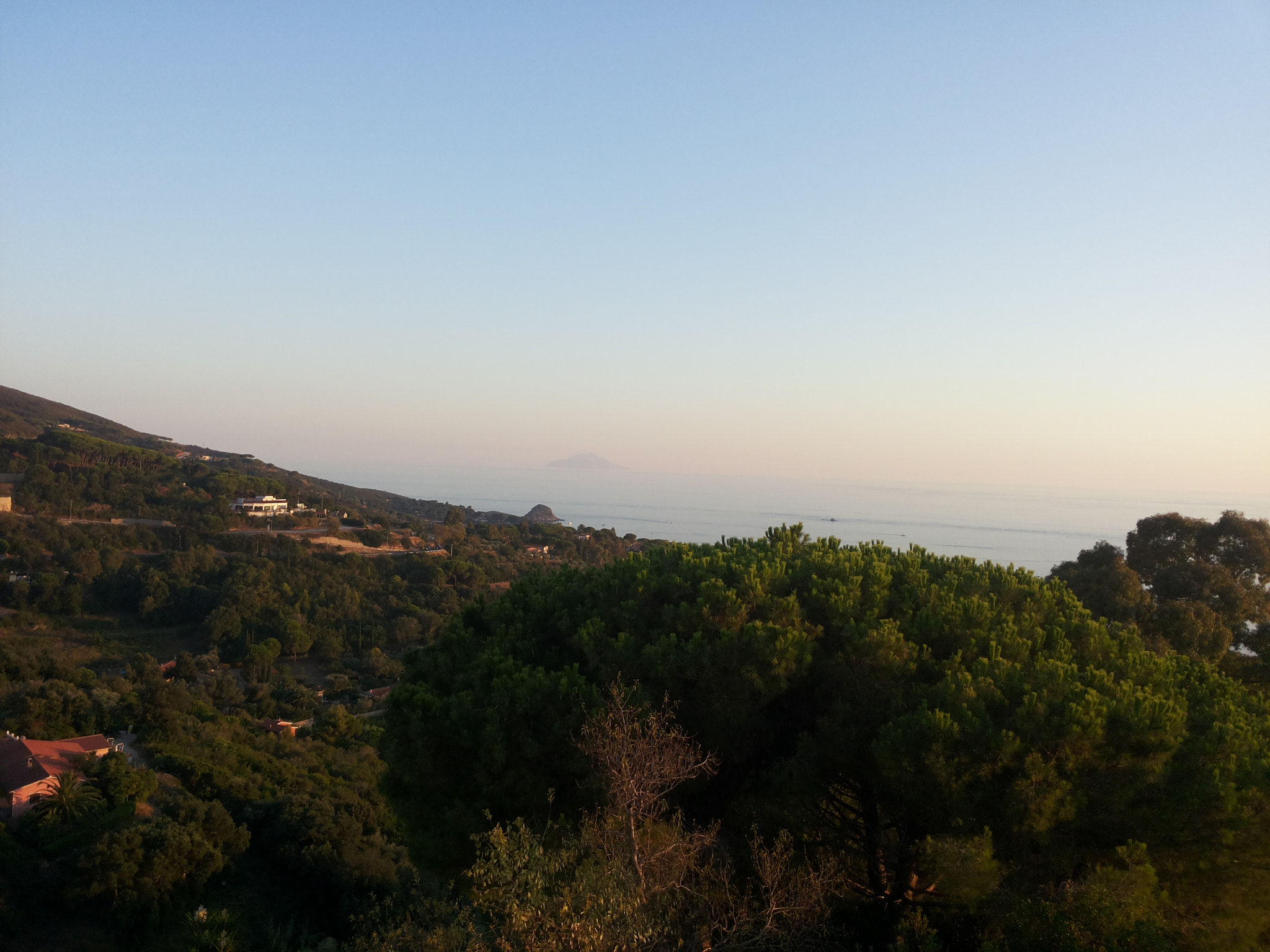 Samsung Galaxy S2 Plus sample photo