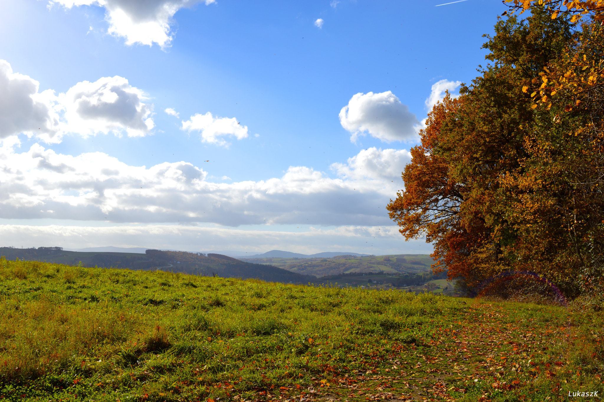 Nikon D3200 sample photo. Skamieniale-autumncolors photography