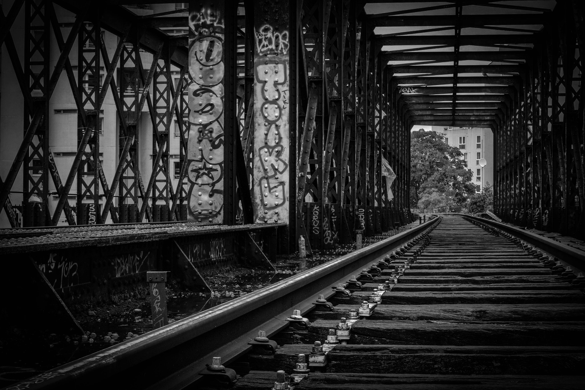 Canon EOS 700D (EOS Rebel T5i / EOS Kiss X7i) + Canon EF 40mm F2.8 STM sample photo. La petite ceinture photography