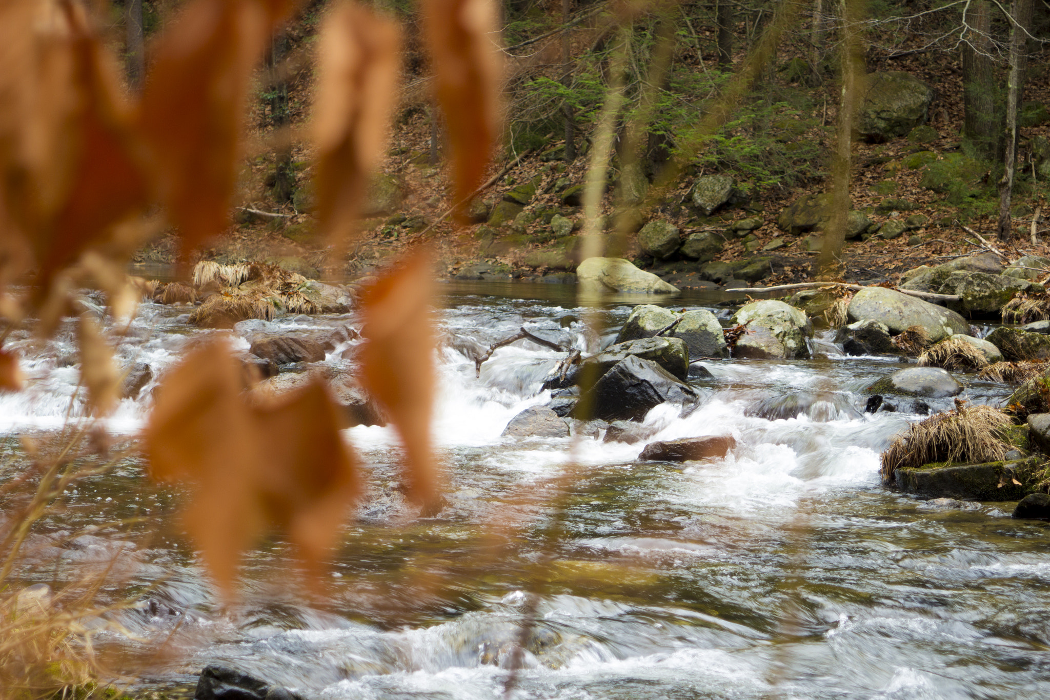Canon EF 28-105mm f/3.5-4.5 USM sample photo. Leaves at falls photography