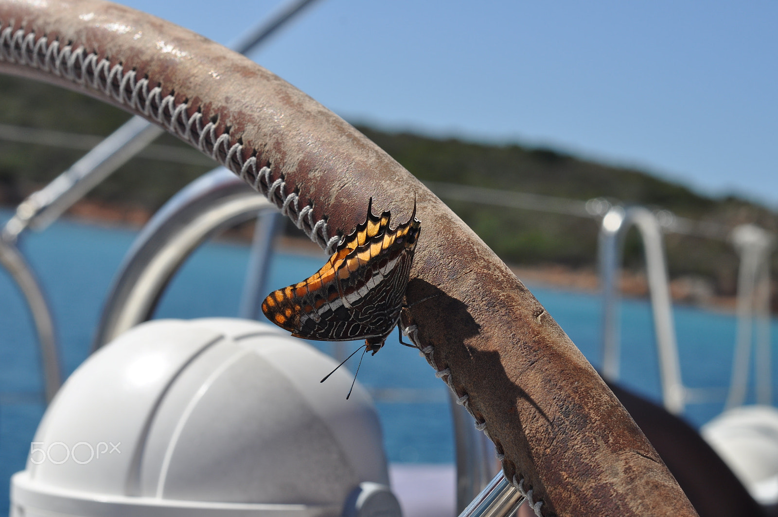 Nikon D5000 + Nikon AF-S Nikkor 50mm F1.4G sample photo. Butterfly on the boat photography