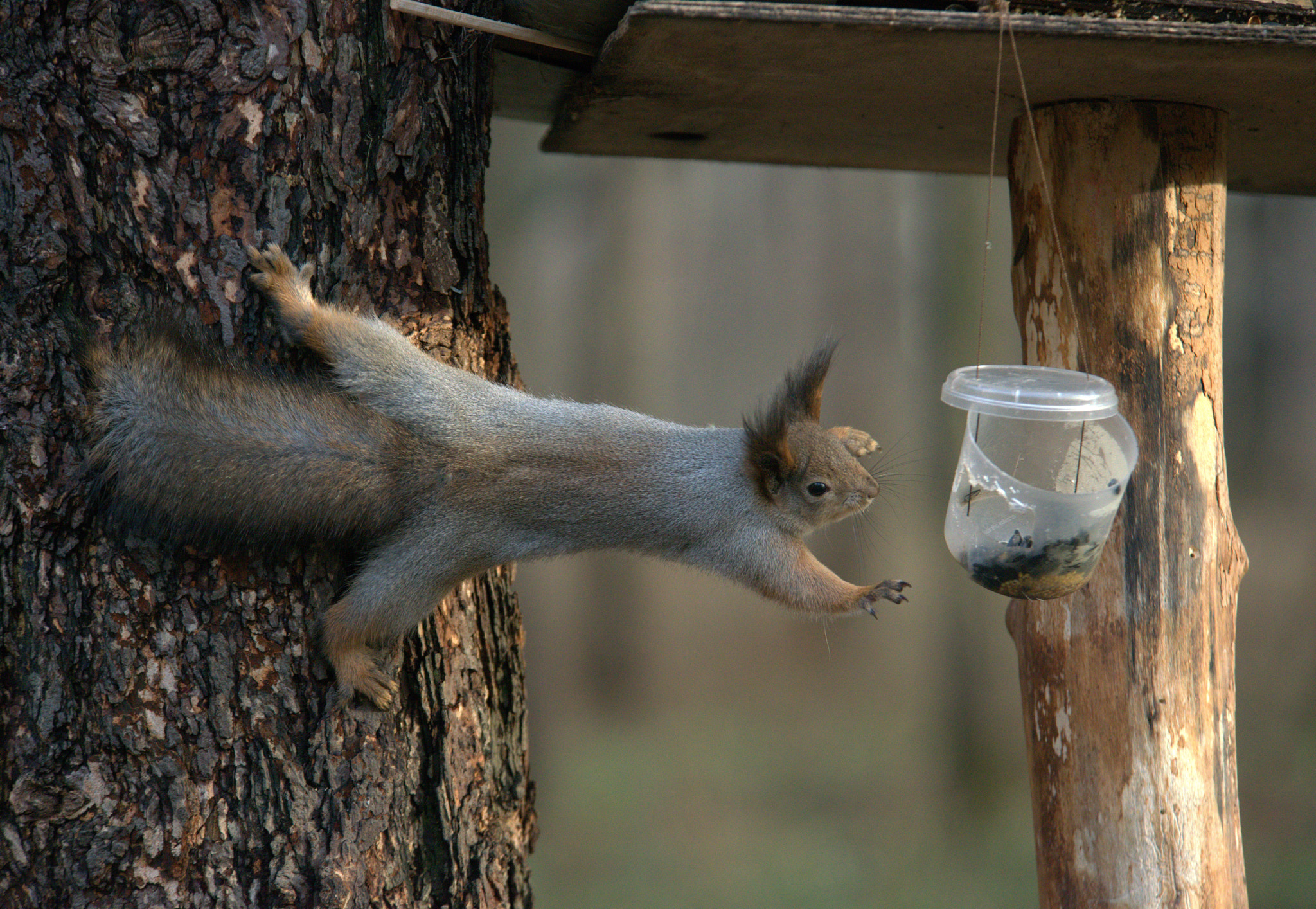 Nikon D800 sample photo. --- photography