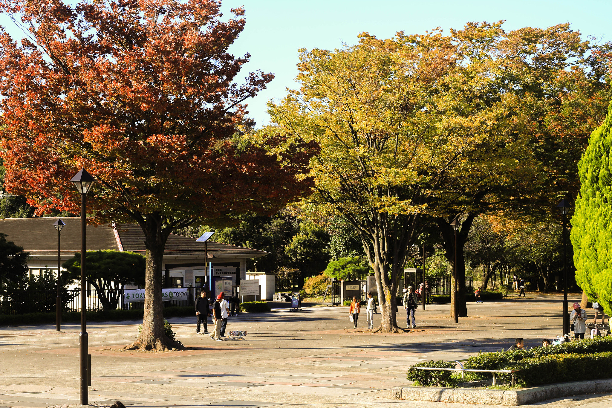 Canon EOS 600D (Rebel EOS T3i / EOS Kiss X5) sample photo. Img photography