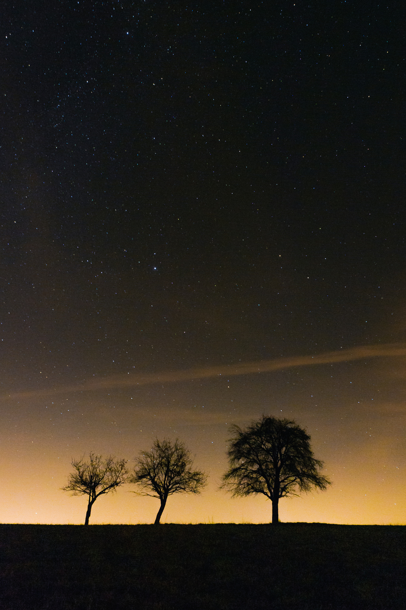 Nikon D700 + Sigma 24mm F1.8 EX DG Aspherical Macro sample photo. Three trees under stars photography