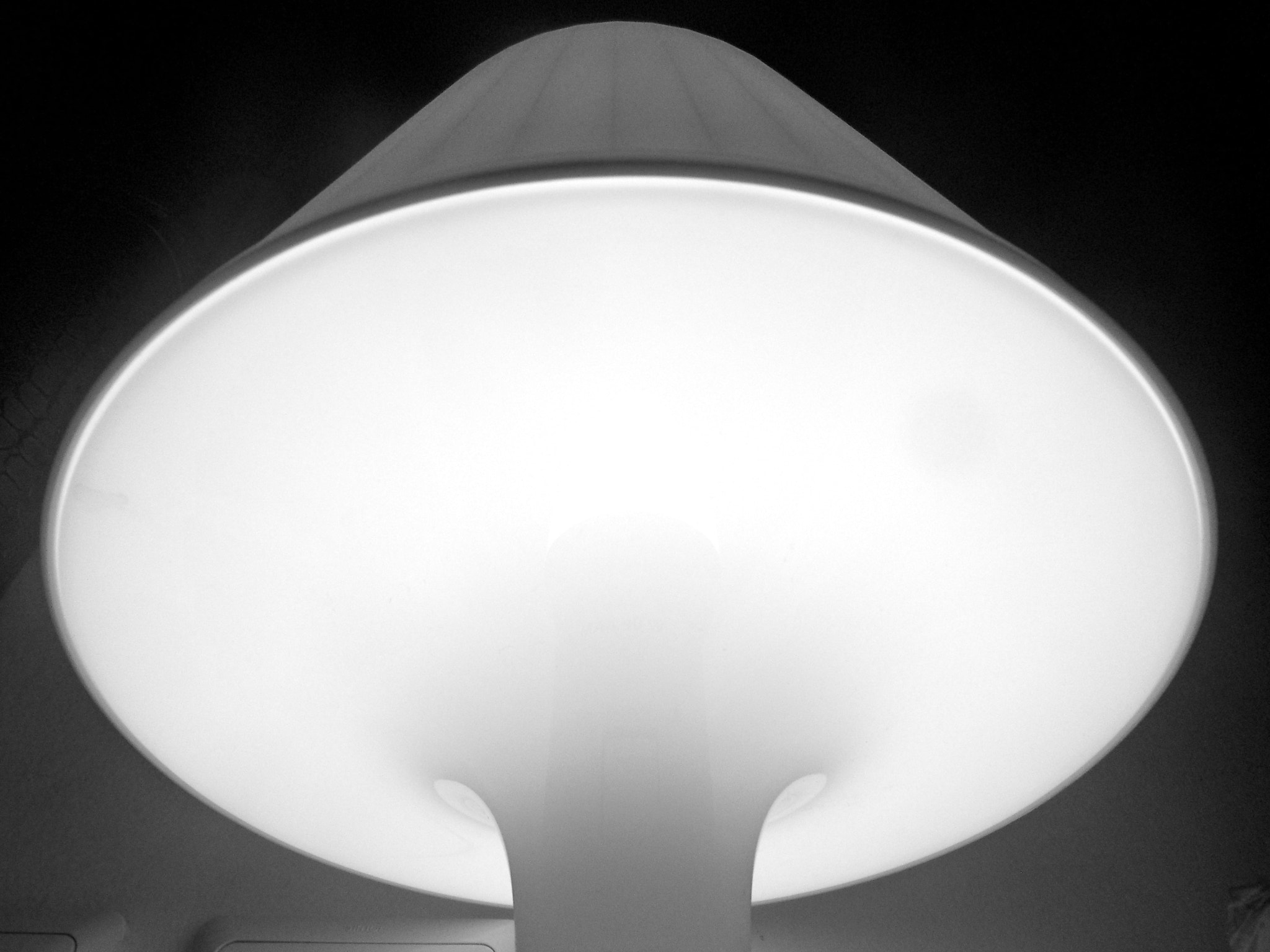 Samsung WB550, WB560 / VLUU WB550 /  HZ15W sample photo. Light mushroom photography
