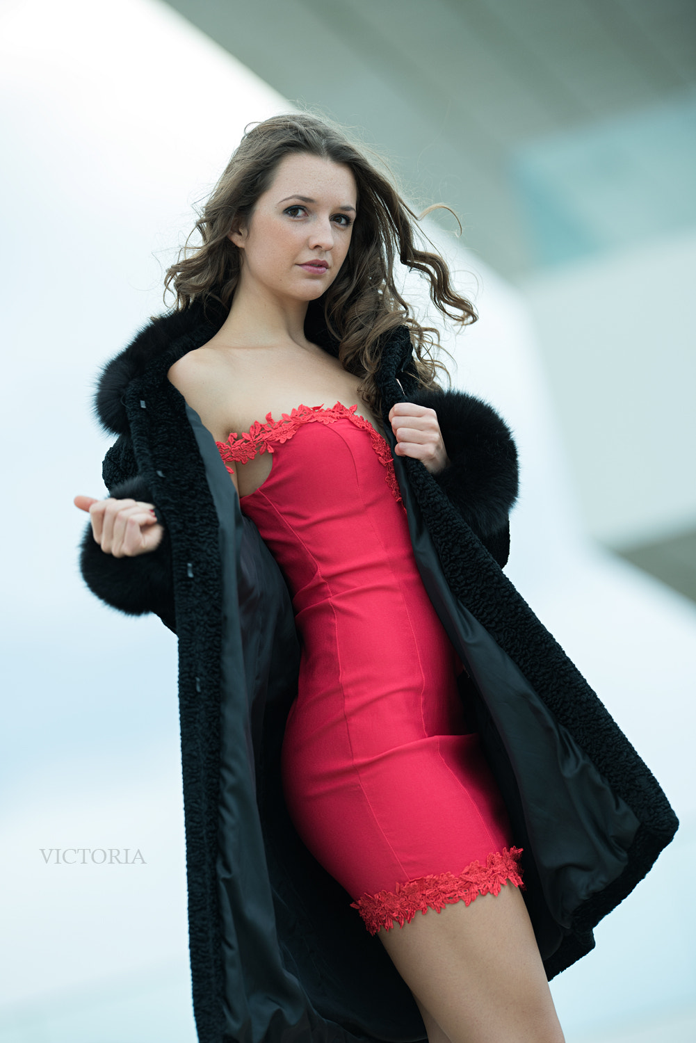 Nikon D810 + Nikon AF-S Nikkor 200mm F2G ED-IF VR sample photo. Victoria photography