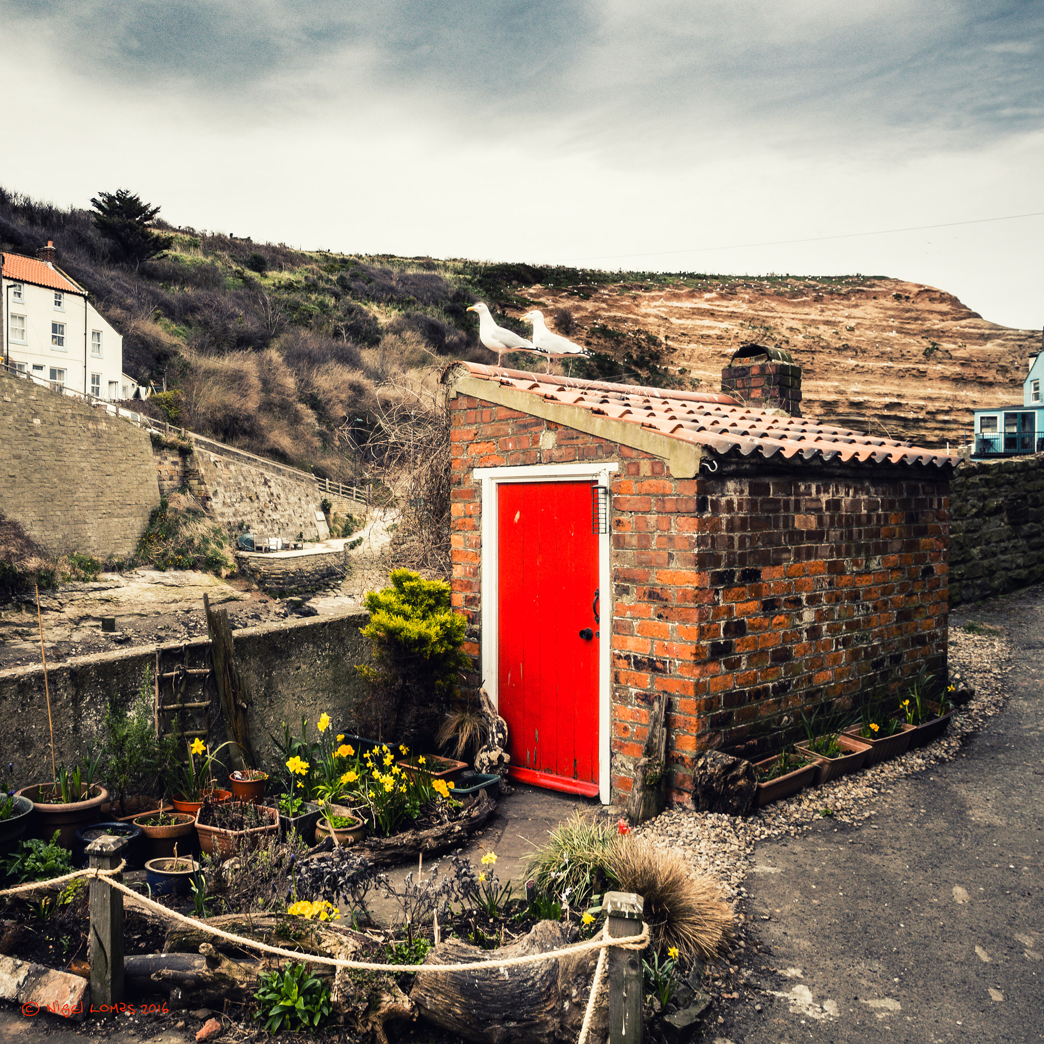 Olympus OM-D E-M5 + OLYMPUS M.12mm F2.0 sample photo. A very yorkshire shed photography