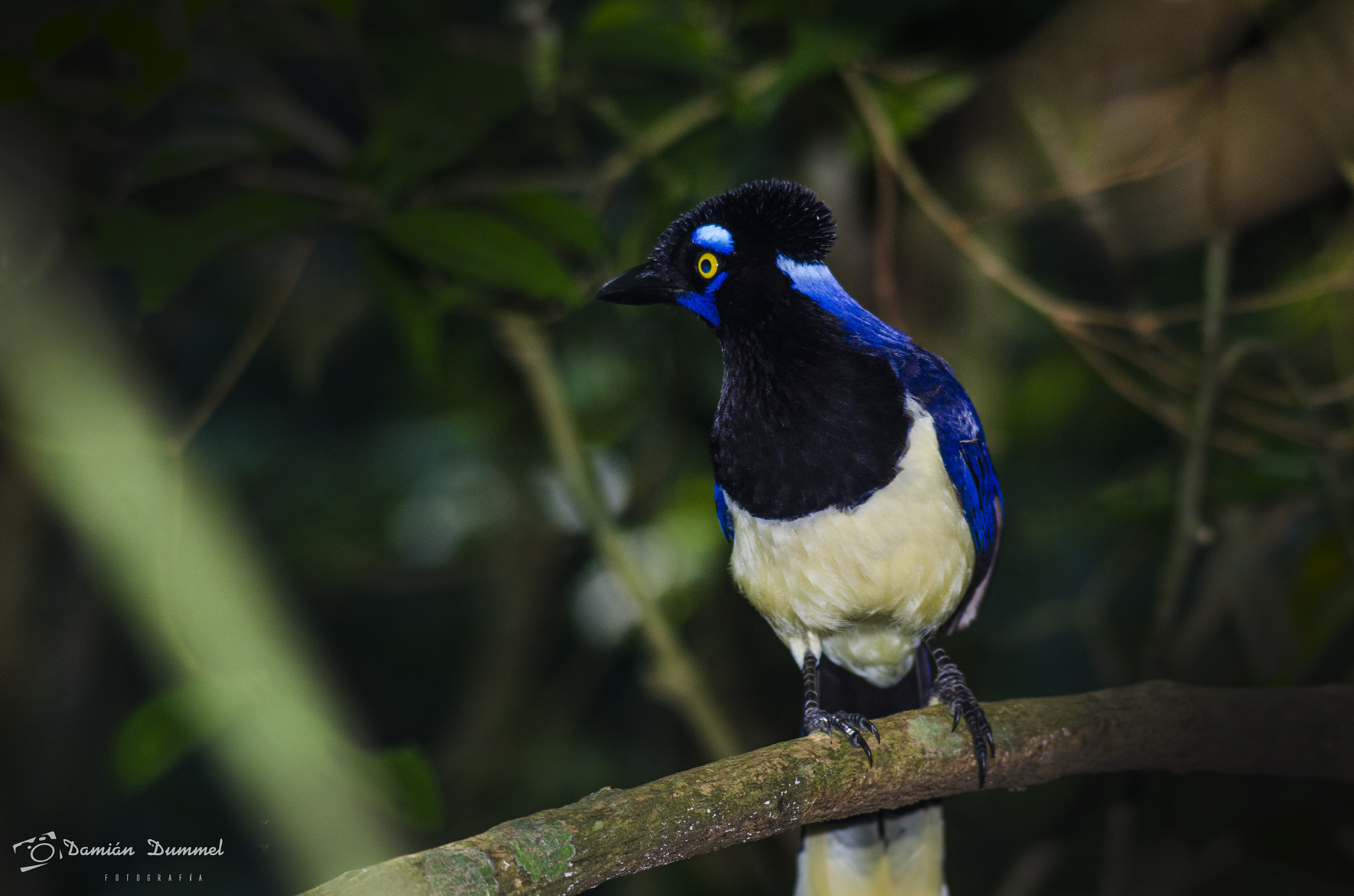 Tamron AF 200-400mm f/5.6 LD IF (75D) sample photo. Dsc photography