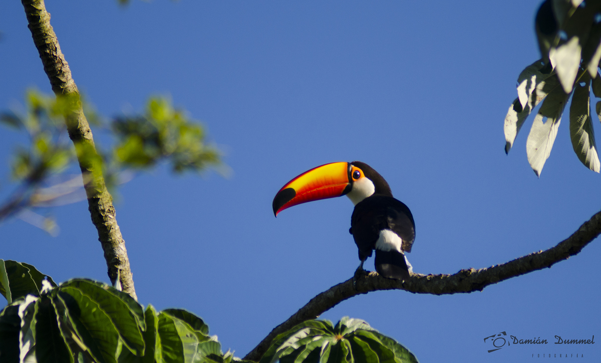 Tamron AF 200-400mm f/5.6 LD IF (75D) sample photo. Dsc photography