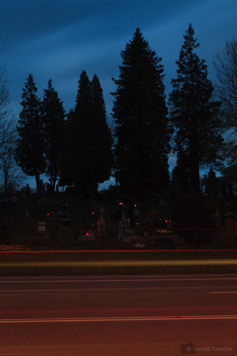Tamron SP AF 17-50mm F2.8 XR Di II LD Aspherical (IF) sample photo. Halloween photography