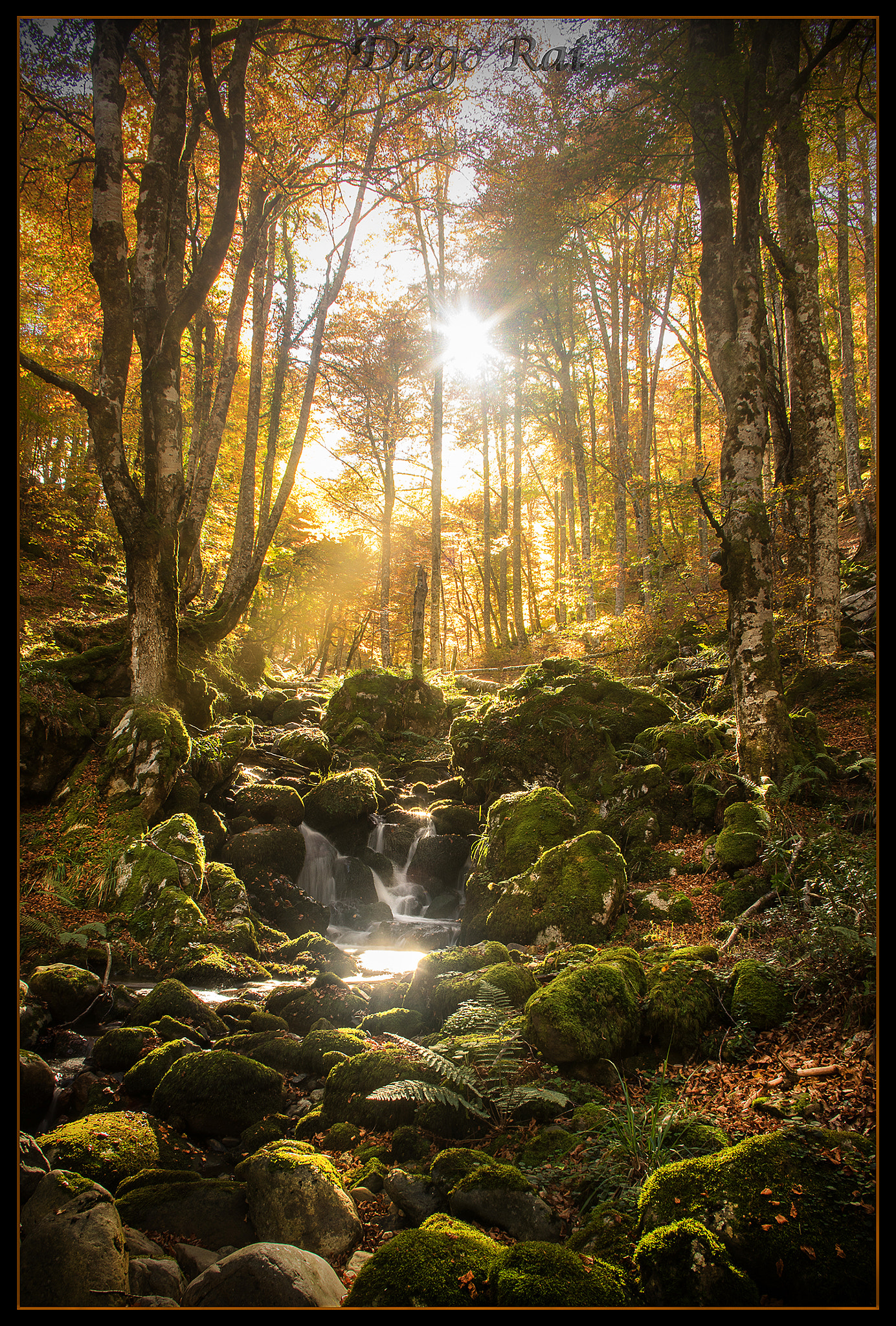Pentax smc DA 18-55mm F3.5-5.6 AL WR sample photo. Natural park in asturias photography