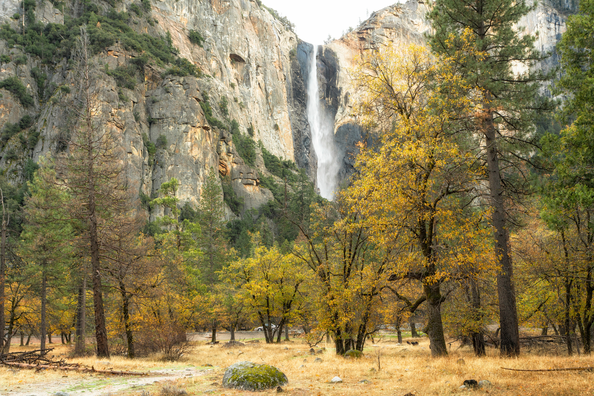 Sony a7R II + Canon EF 17-40mm F4L USM sample photo. Bridalveil falls photography