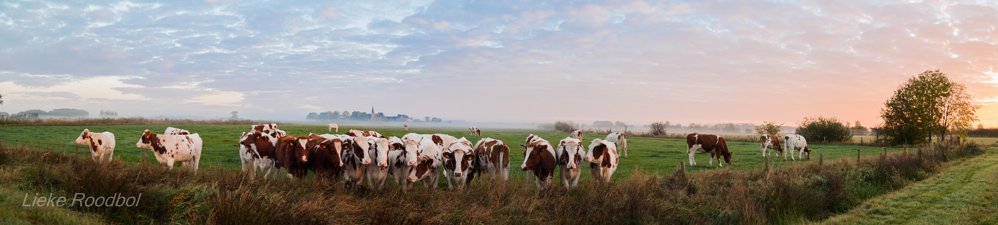 Nikon D300 + Sigma 17-70mm F2.8-4.5 DC Macro Asp. IF sample photo. Dutch morning view photography