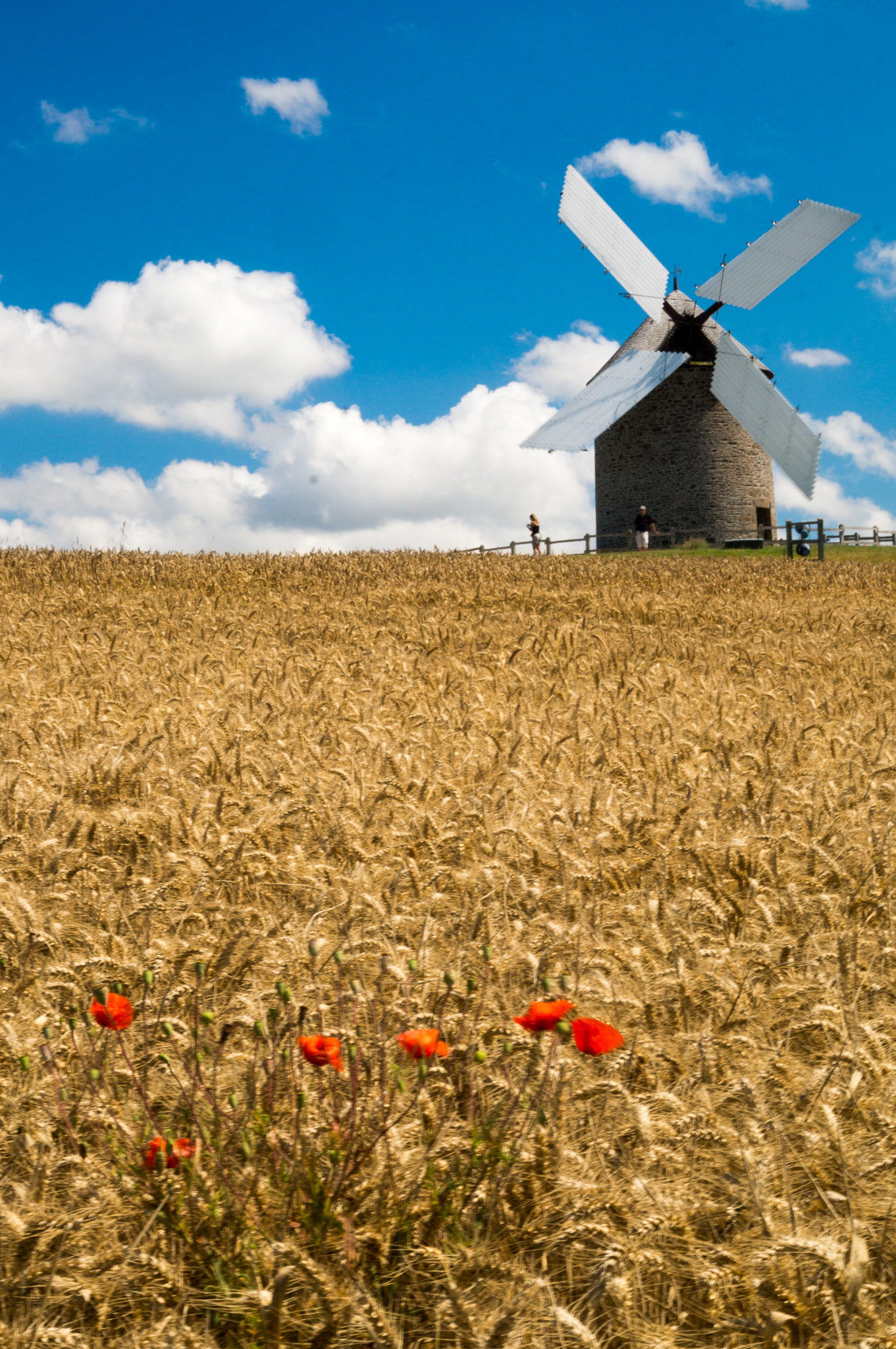 Sony SLT-A57 sample photo. Bretagne wind mill photography