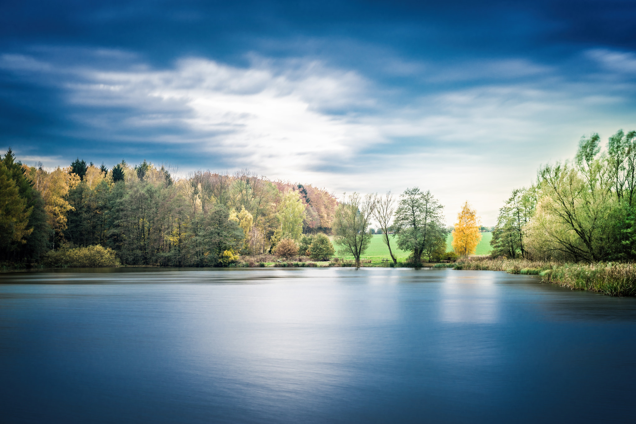 Sony a7R + Sony FE 50mm F1.8 sample photo. Herbst photography