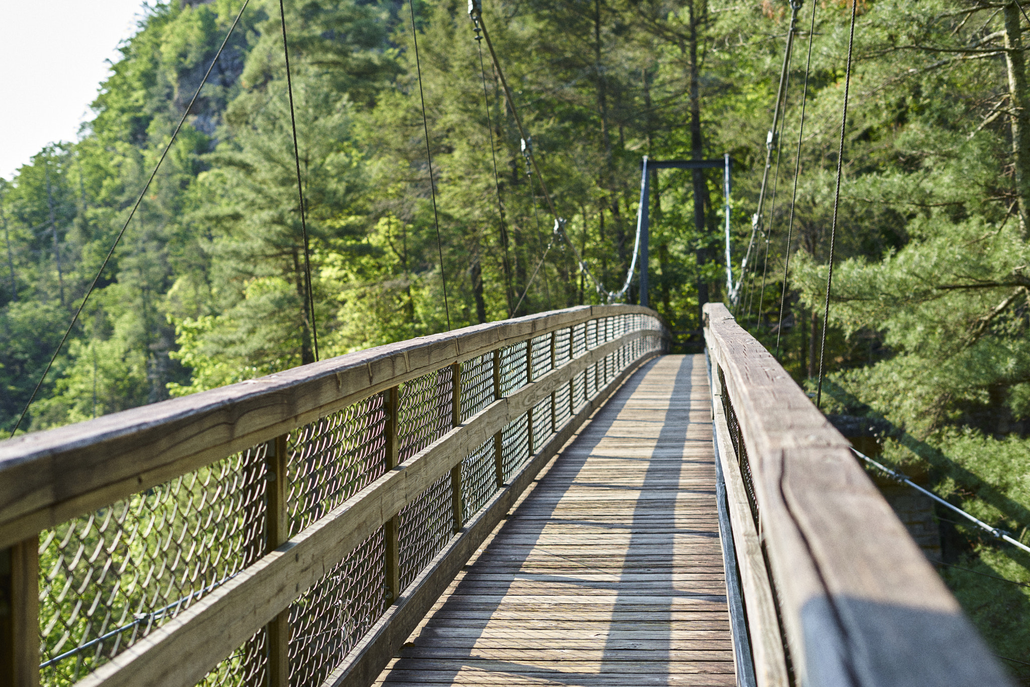 Sony a7 II sample photo. Suspension bridge photography