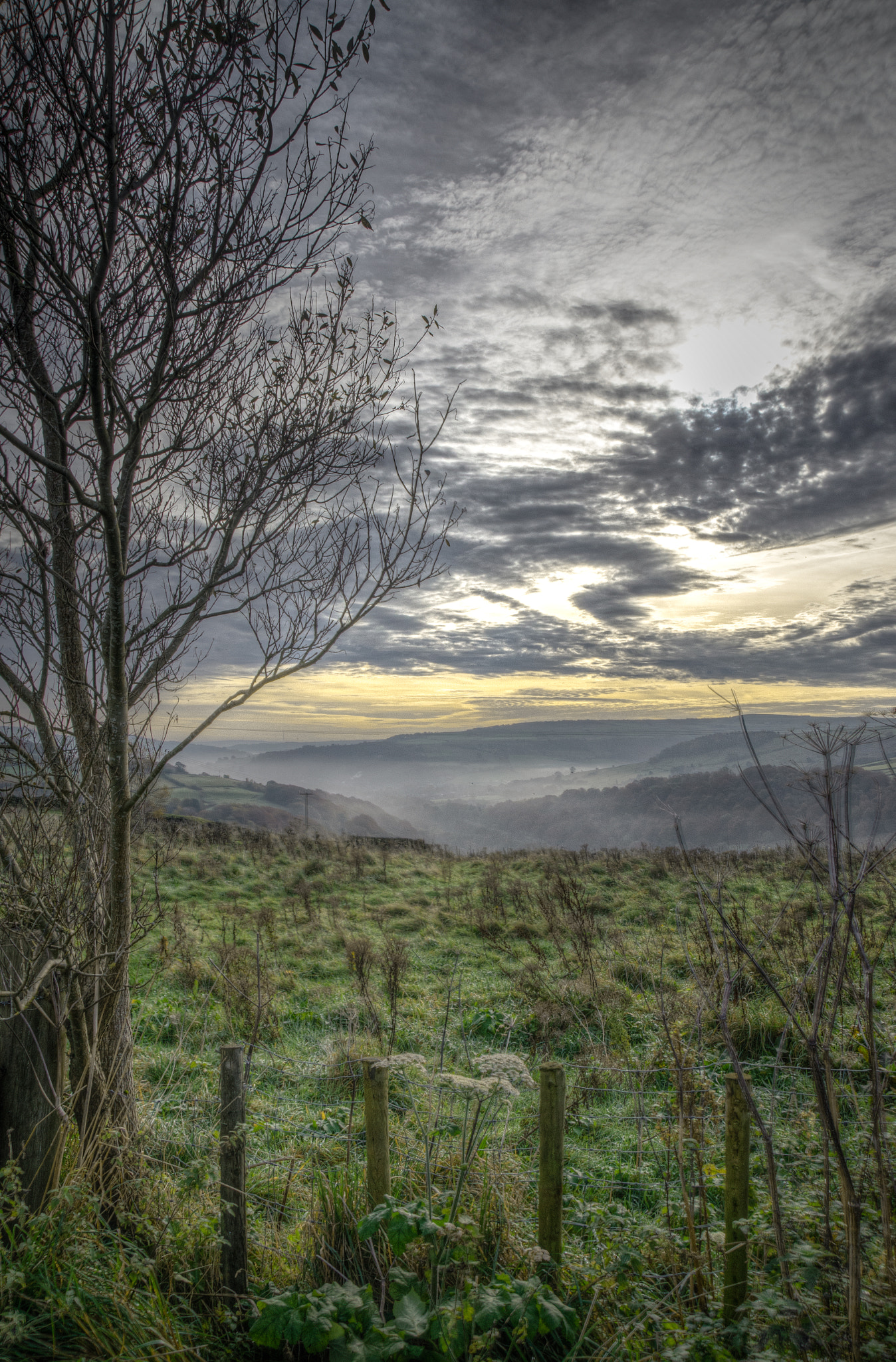 Sigma 18-250mm F3.5-6.3 DC Macro OS HSM sample photo. Distant mist photography