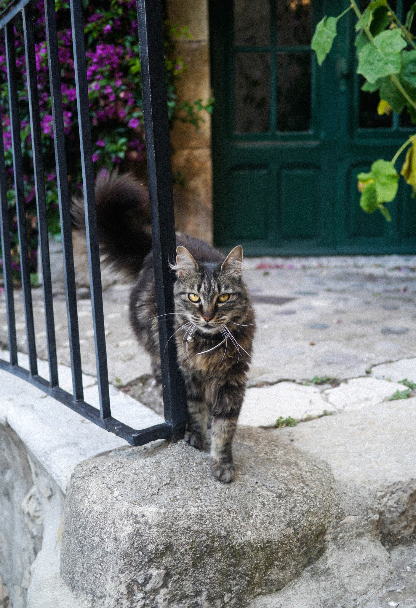 Panasonic Lumix DMC-GX1 sample photo. France, nice photography